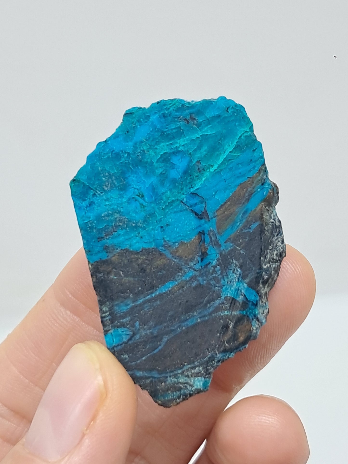 Blue Opal from Chile (Atacama) *New Find*| Rough Natural Stone | Rare Mineral Specimen #CBO3
