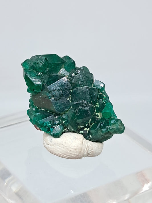 Dioptase (Democratic Republic of Congo) Natural Cluster | Rough Crystal | Mineral Specimen #DPT3