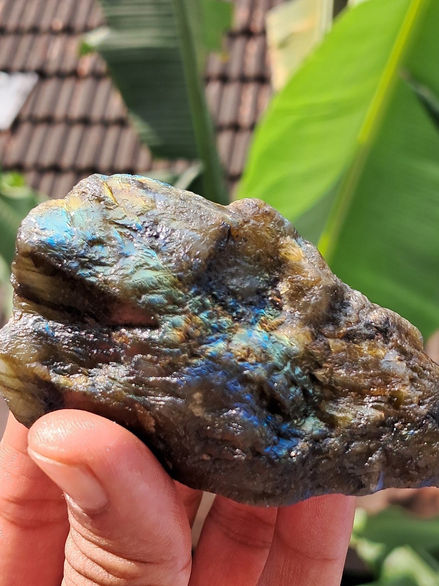 Labradorite Raw (Madagascar) | Strong Flash #LB6