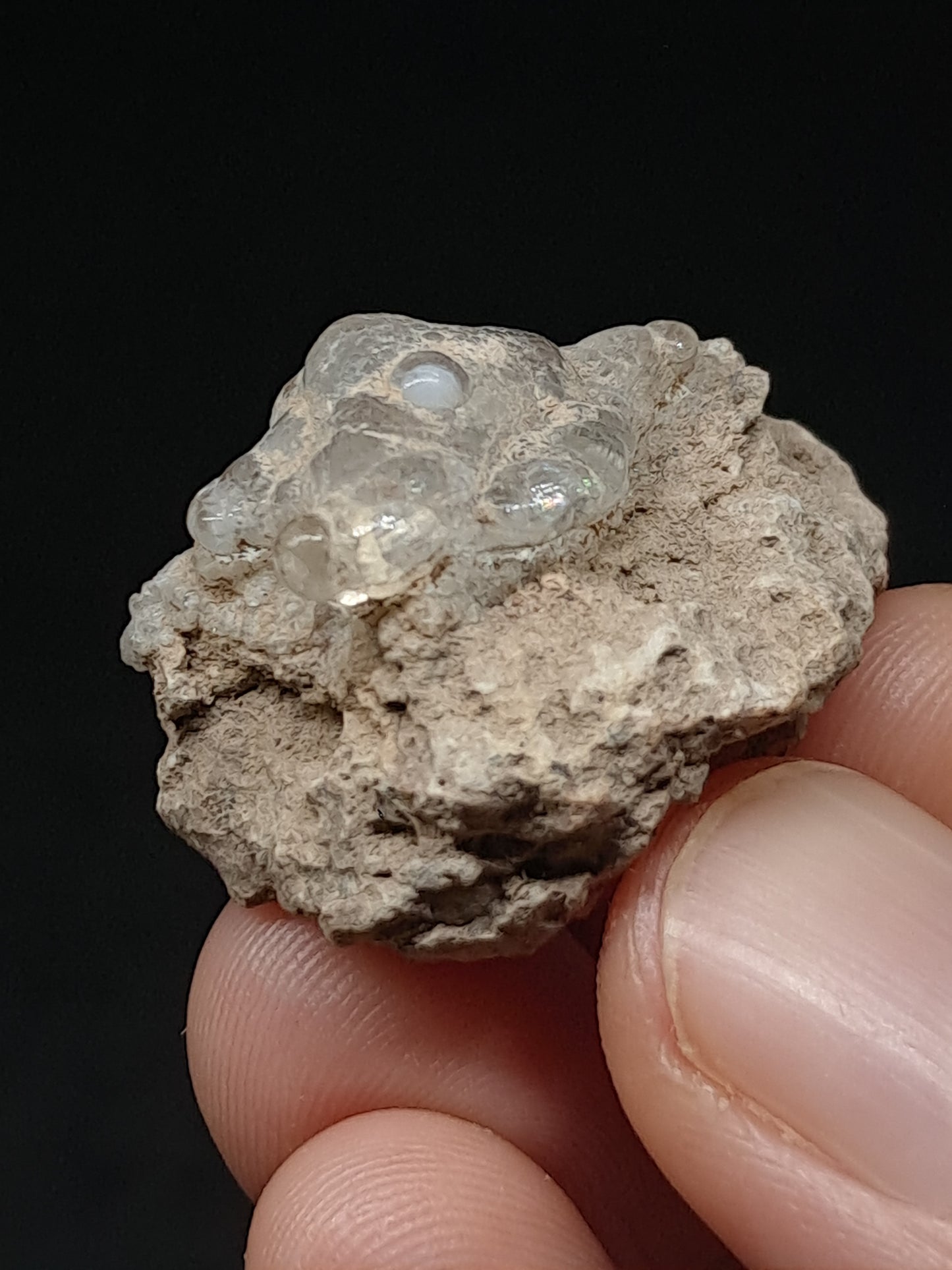 Hyalite Opal on Matrix (Mexico) Rough Crystal Stone | UV-Reactive Mineral Specimen #OH10