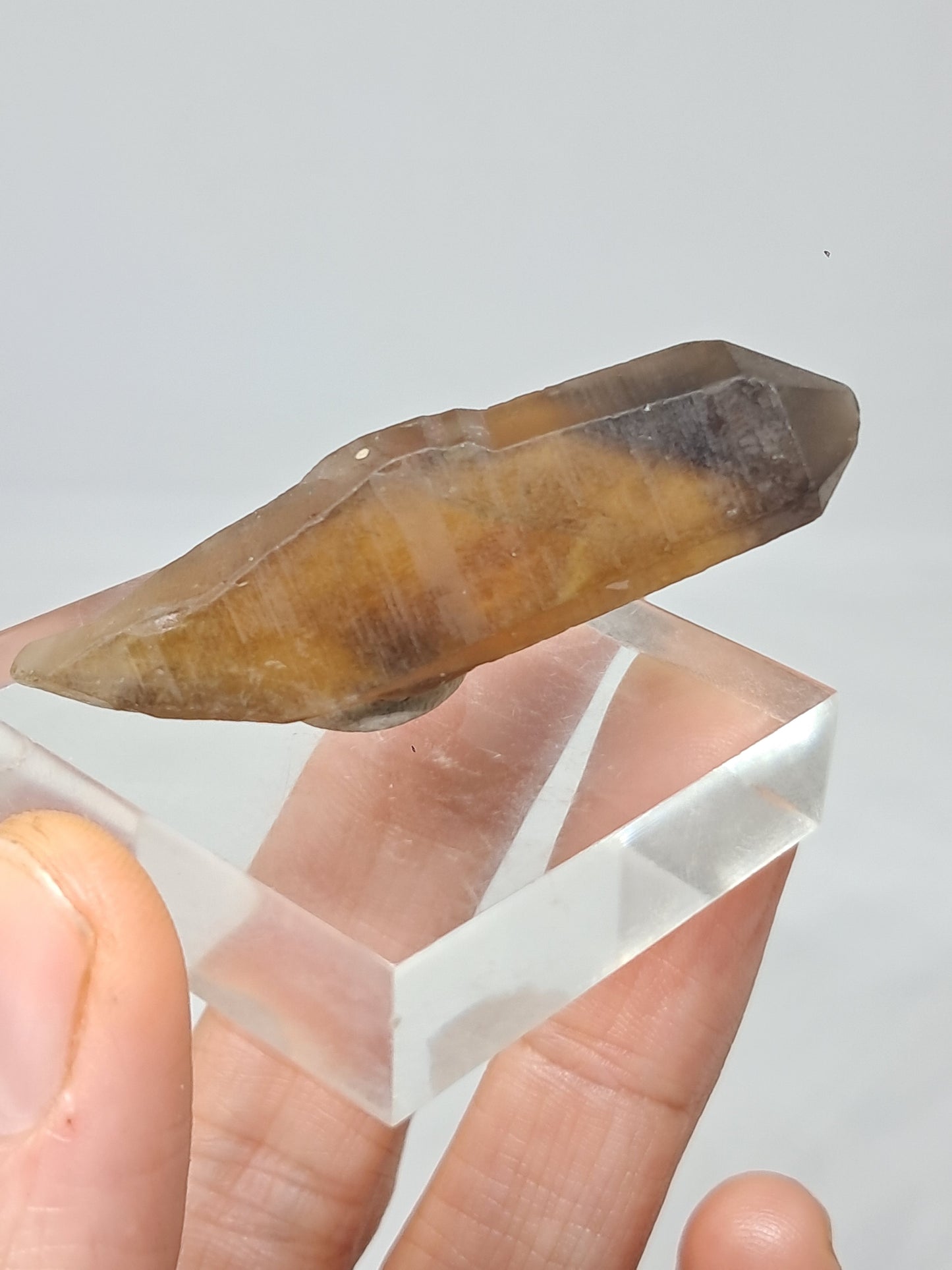 Natural Citrine Crystal Point w/ Self-Healed Termination (Democratic Republic of Congo) #CTN30