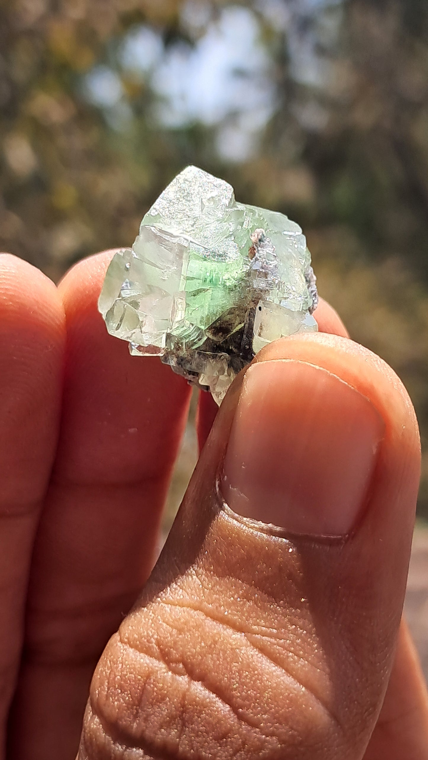 Green Apophyllite Flower (Fluorapophyllite) (Ajanta) Natural Crystal | Mineral Specimen #GA32