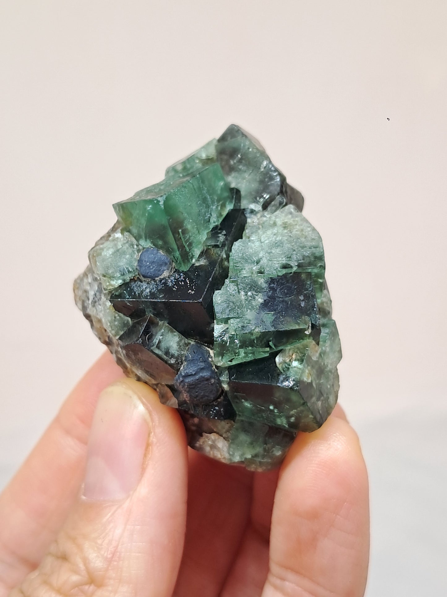 Bicolor Fluorite on Matrix (Durham, UK) Natural Crystal | Mineral Specimen #FL4