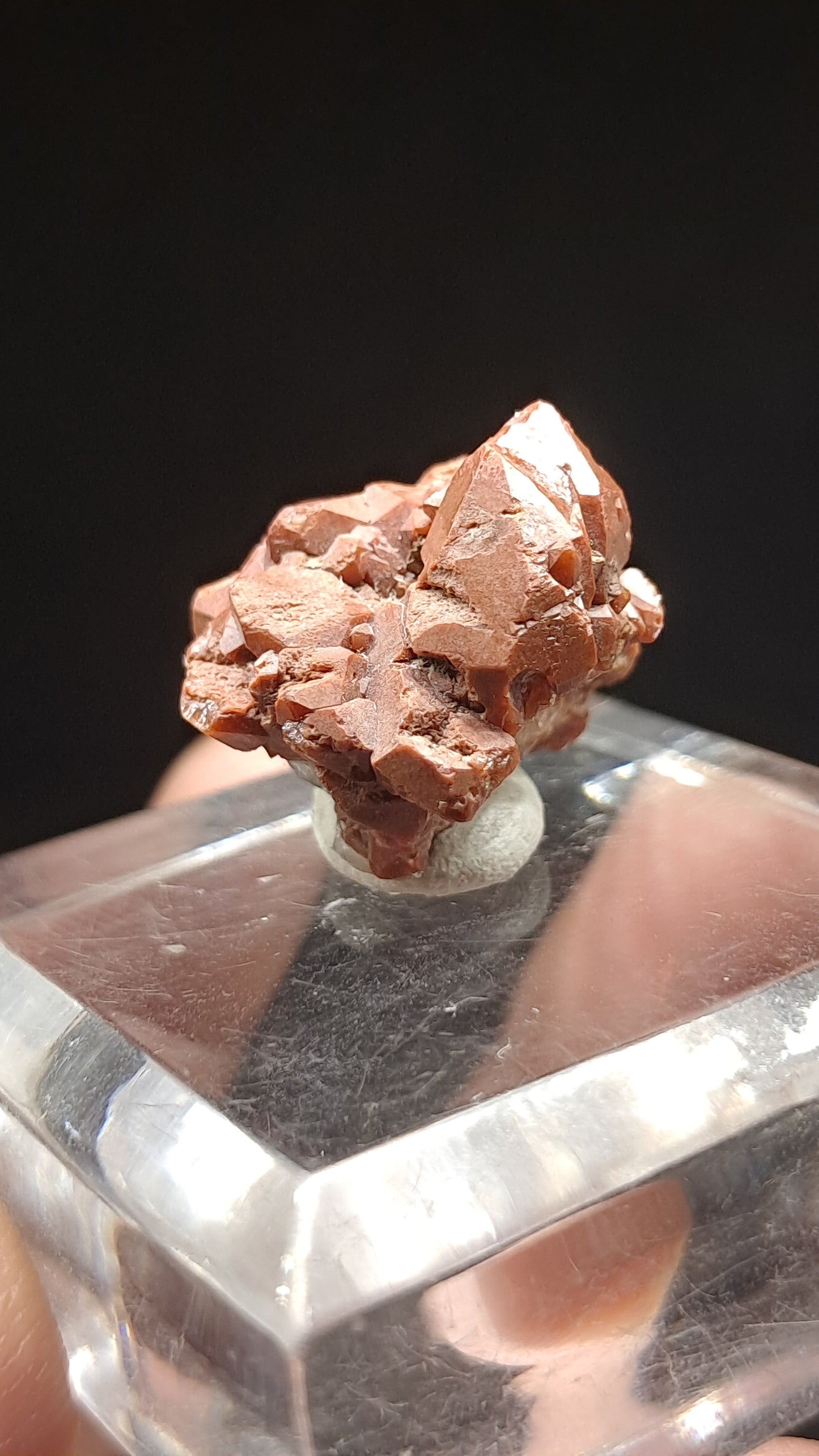 Jacinto de Compostela Quartz On Matrix | Natural Crystal | Mineral Specimen #JCQ4