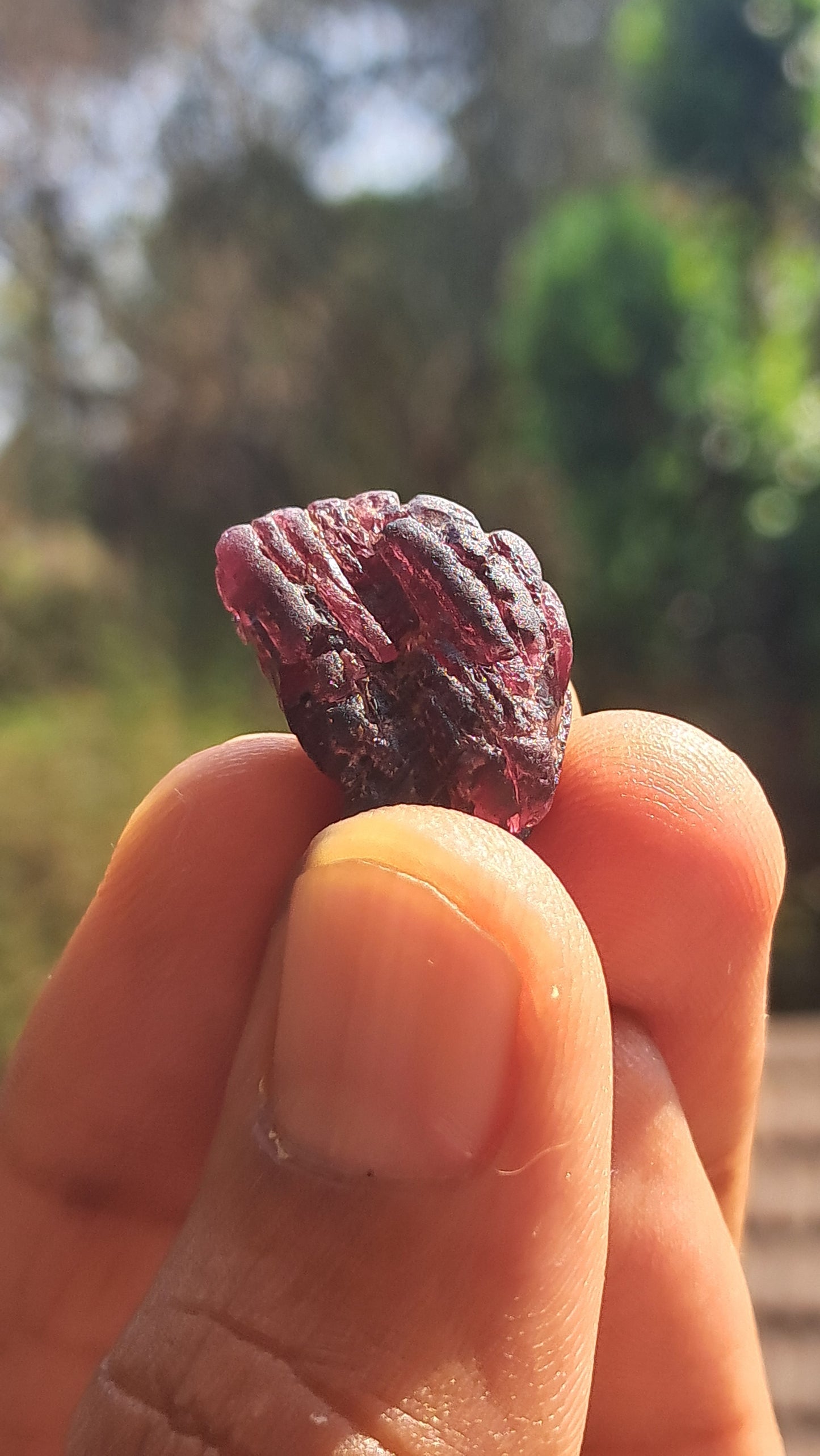 Granate Rojo (Karur) | Pulido por el río | Piedra Natural #RG6