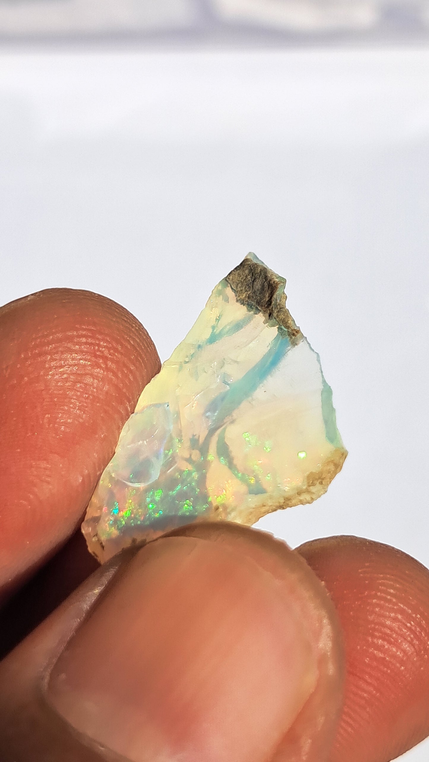 Natural Ethiopian Opal Rough | White Hydrophane Opal with Bright Play of Color #OP4
