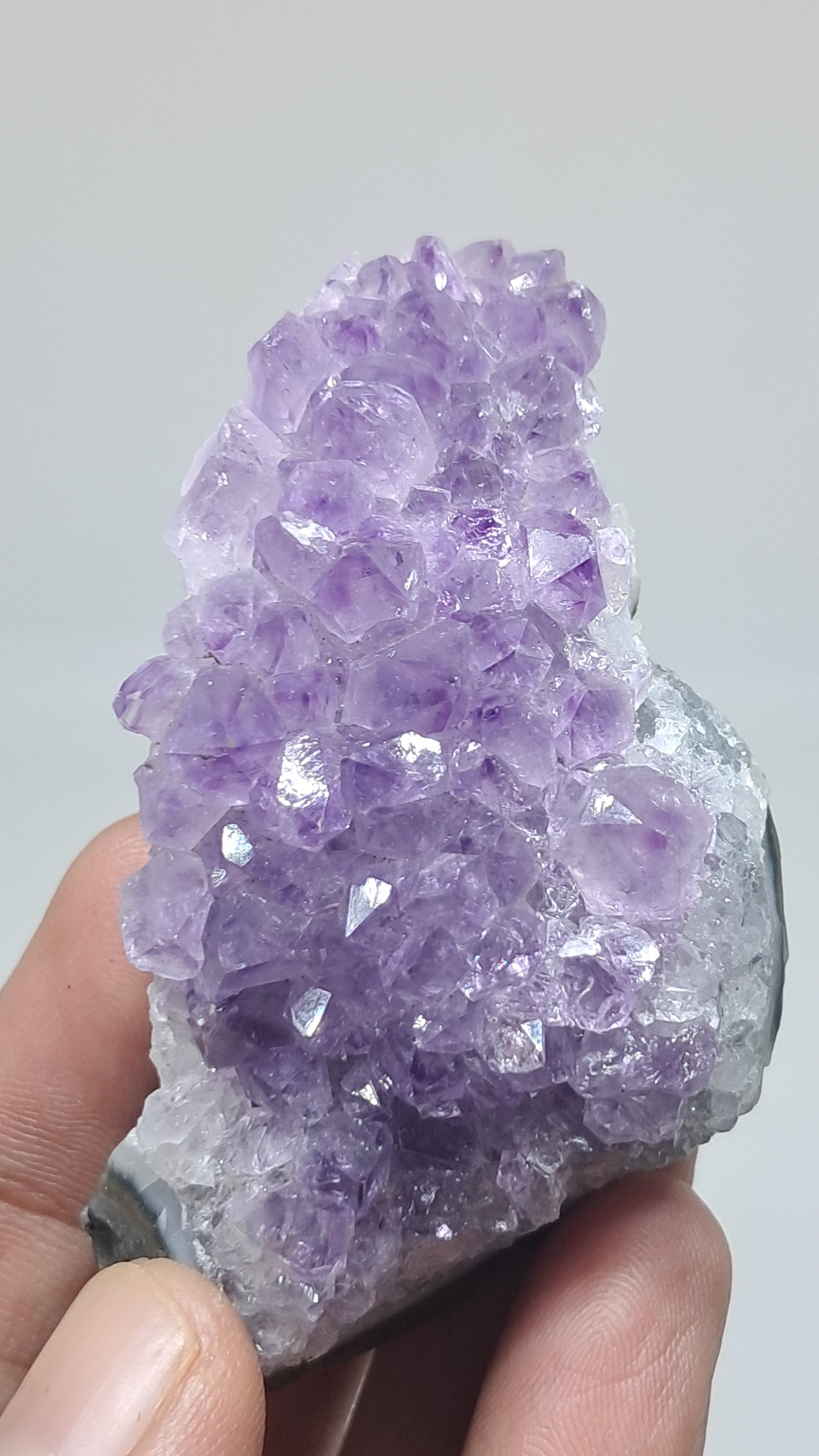 Deep Purple Amethyst (Brazil) | Natural Cluster | Mineral Specimen #AMB11
