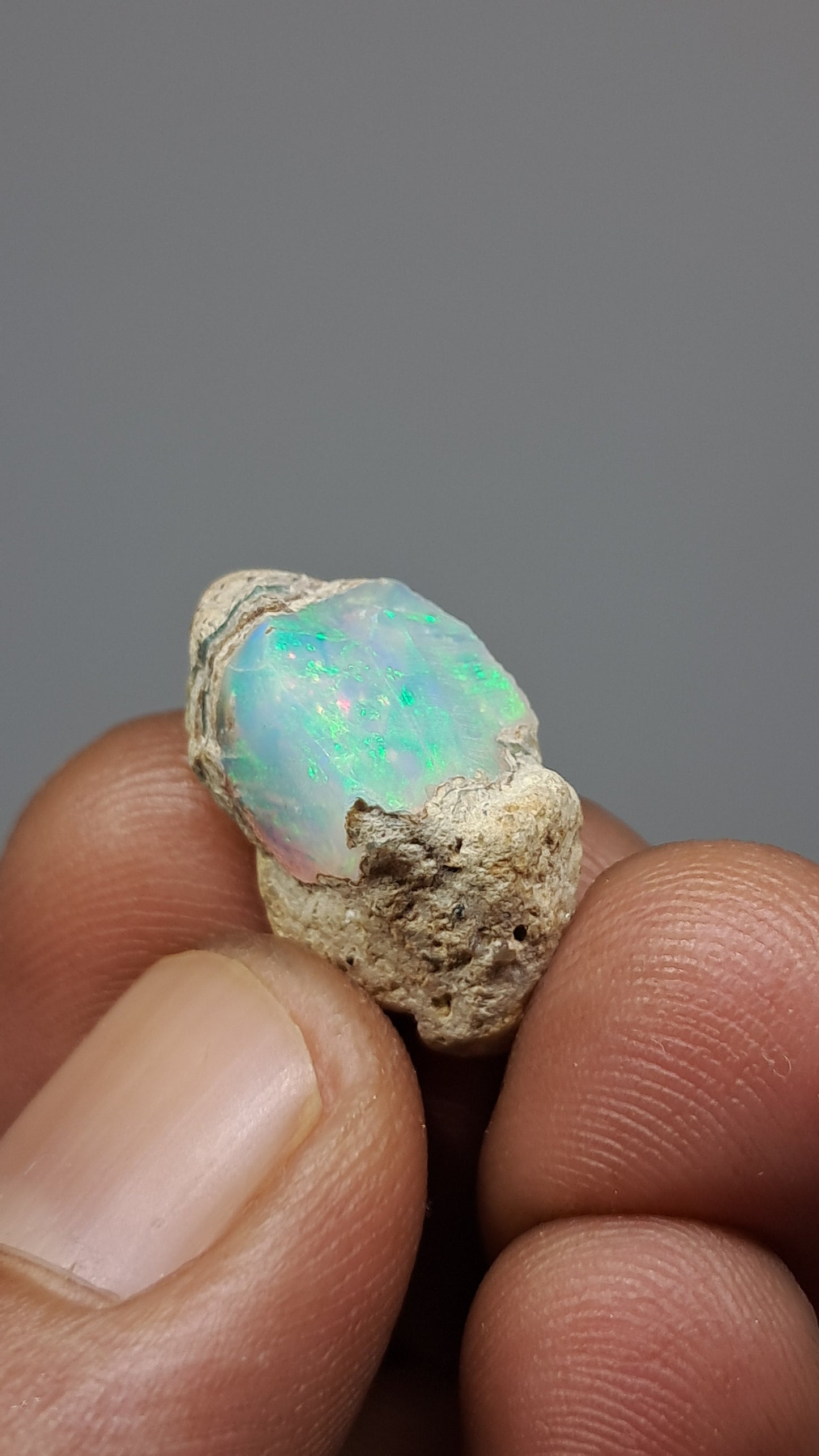 Natural Ethiopian Opal Rough | White Hydrophane Opal with Flashy Play of Colors #OP20