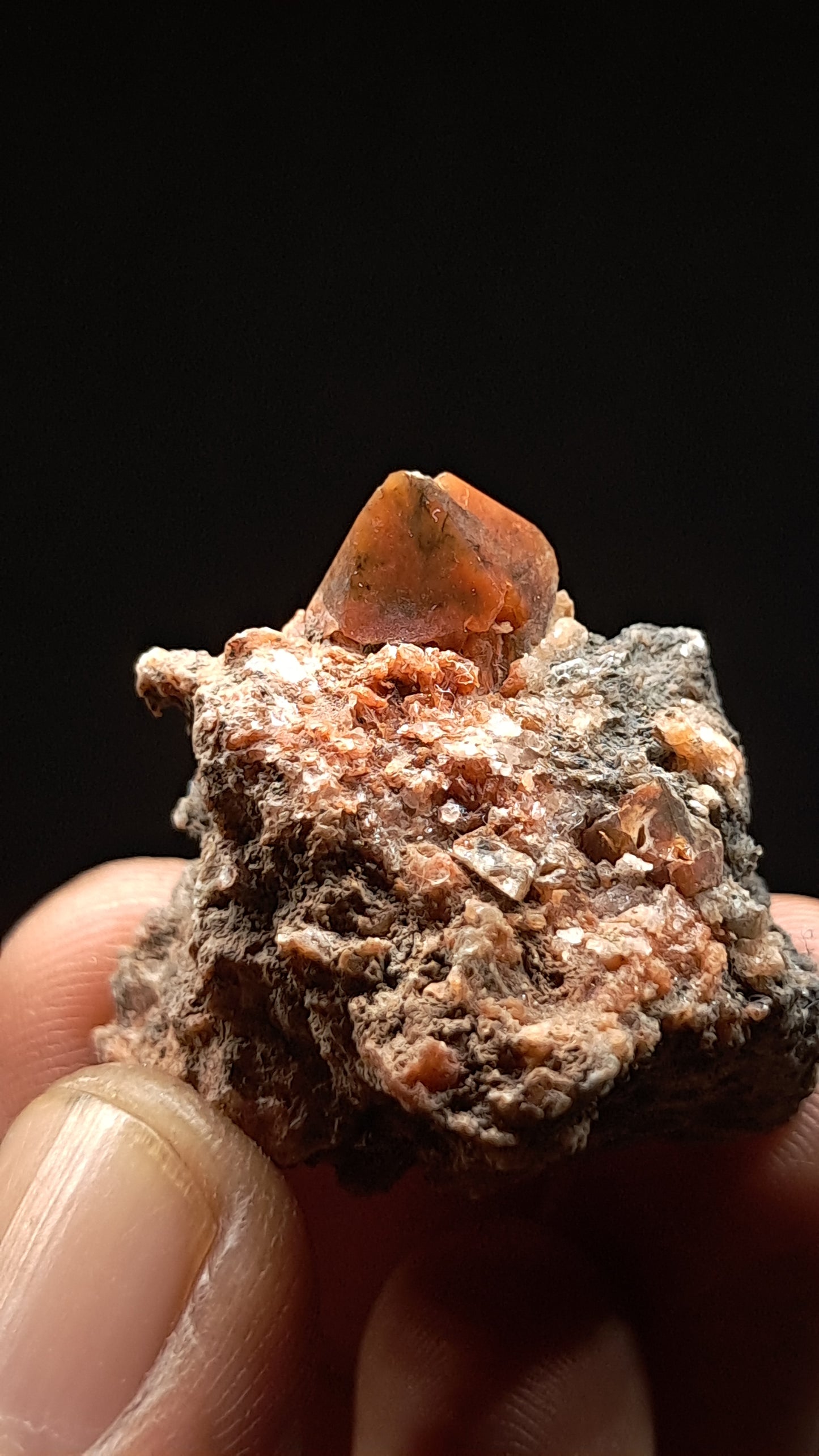 Jacinto de Compostela Quartz On Matrix | Natural Crystal | Mineral Specimen #JCQ3