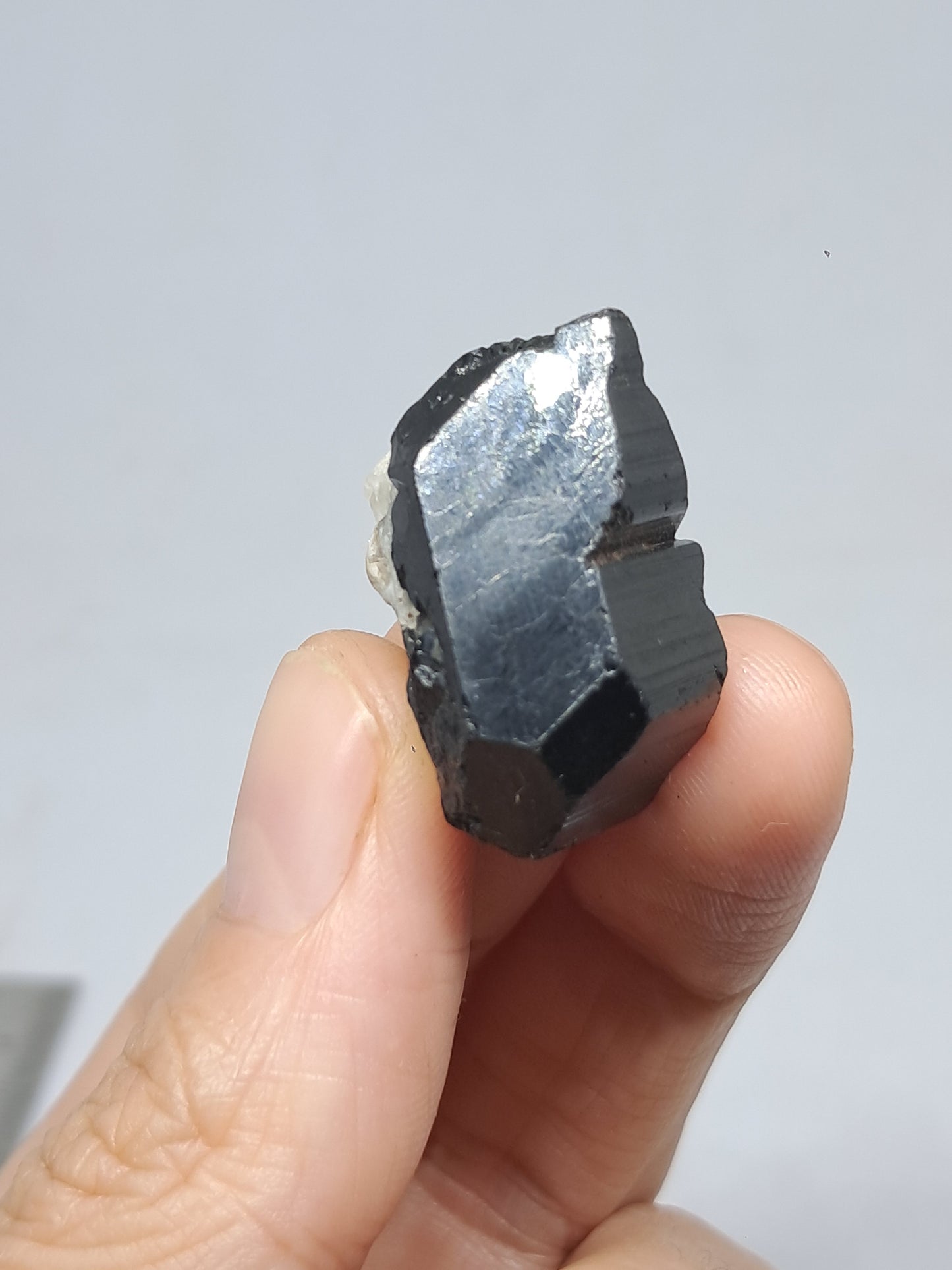 Black Tourmaline Crystal (Karnataka) Naturally Terminated | Natural Stone | Mineral Specimen #BT7