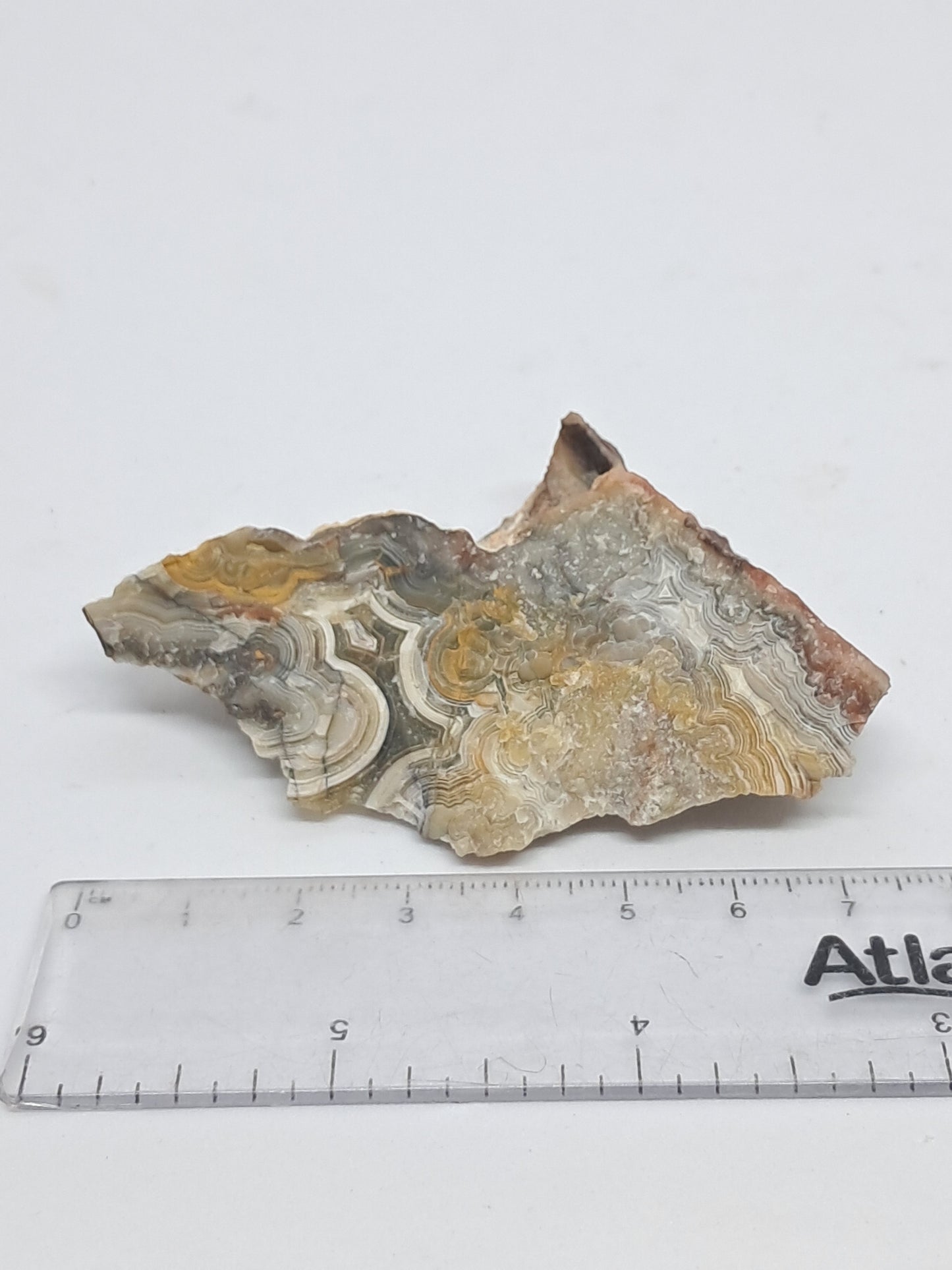 Crazy Lace Agate Rough | Natural Stone | Mineral Specimen #CLA4