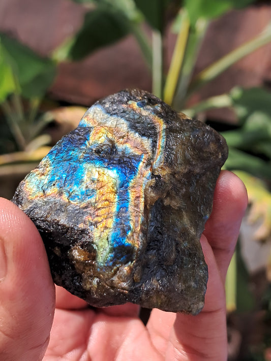 Labradorite Raw (Madagascar) | Strong Flash #LB7