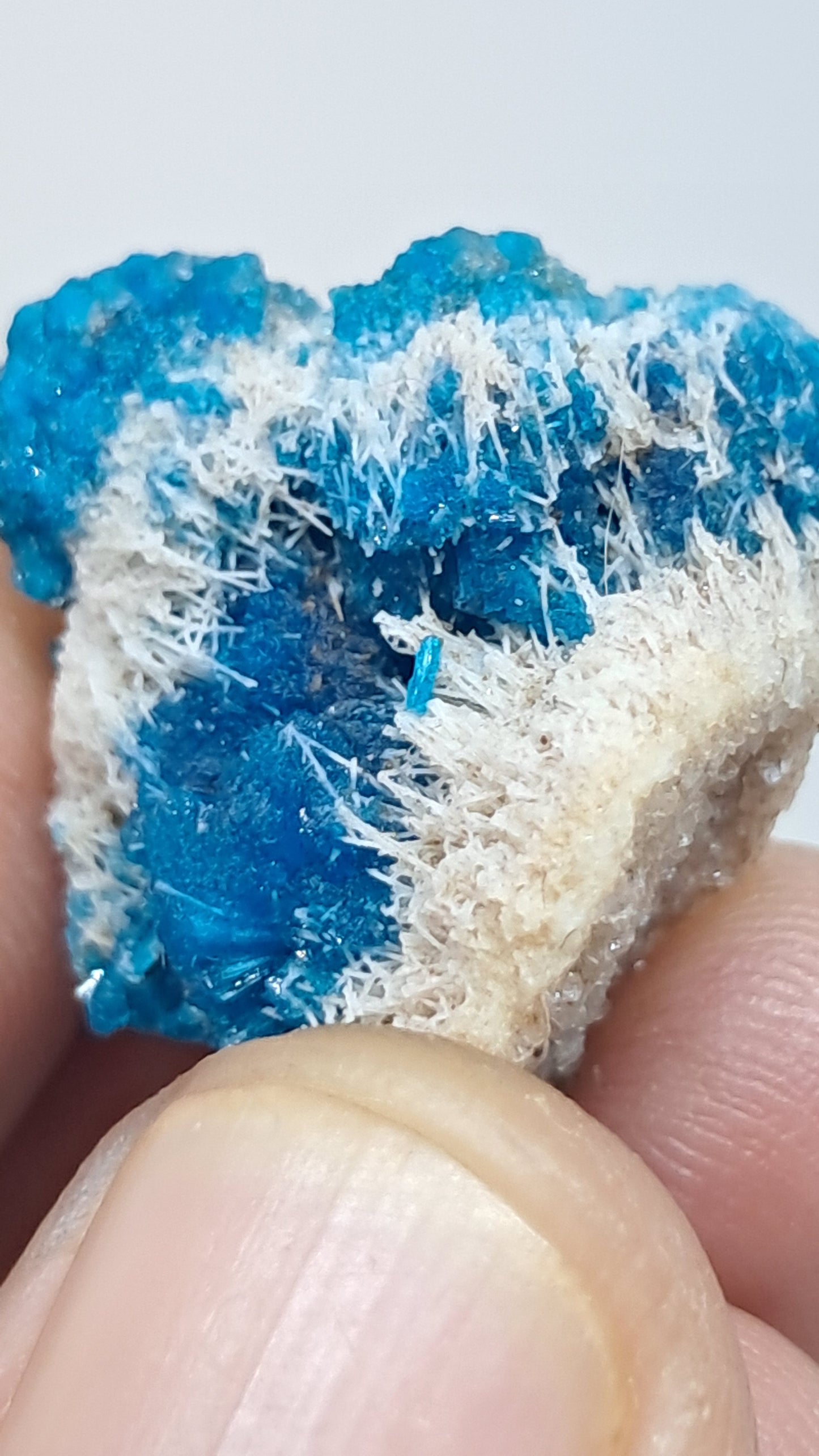 Perfect Cavansite Spheres on Fibrous Stilbite (Wagholi) Rough Stone | Natural Crystal | Rare Mineral Specimen #CV59