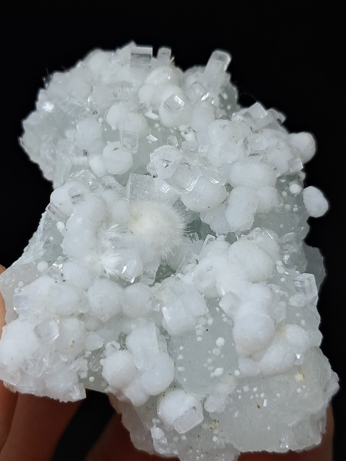 Okenite w/ Gyrolite and Apophyllite Cluster on Prehenite Matrix (Mumbai) Mineral Specimen | Collector Grade | Natural Crystal #OK46