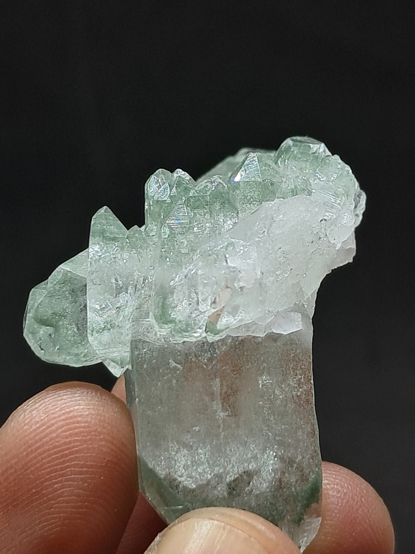 Himalayan Quartz Chlorite Phantom Cluster | Biterminated Crystals | #CH59