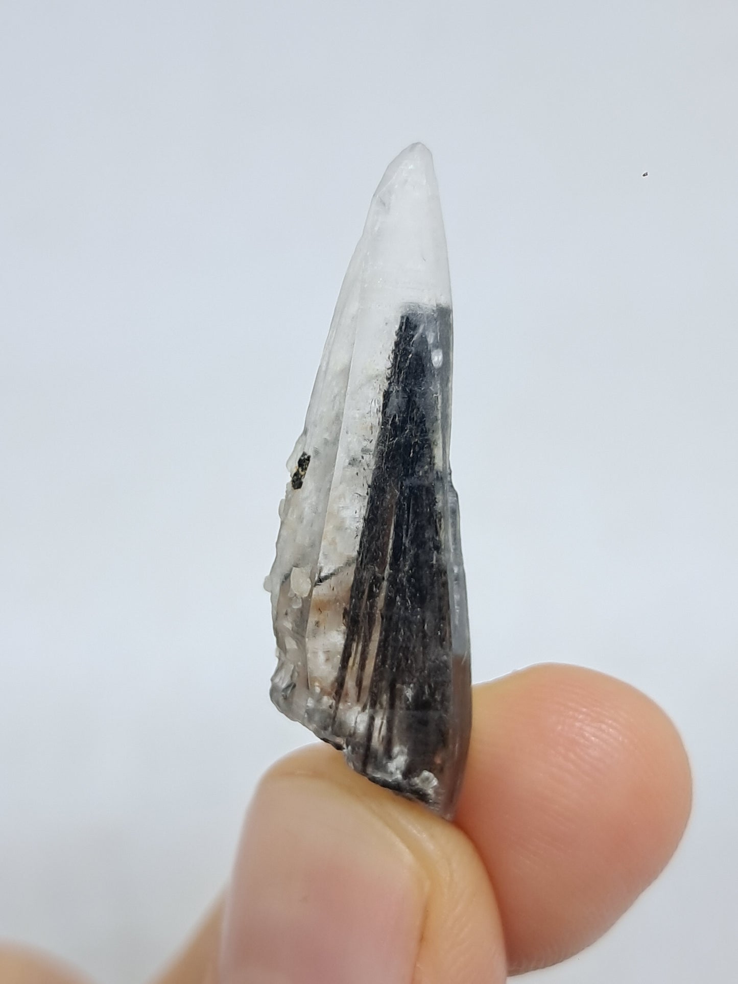 Tourmalinated Quartz Crystal Point (Karur) Natural Stone | Mineral Specimen #TQ26