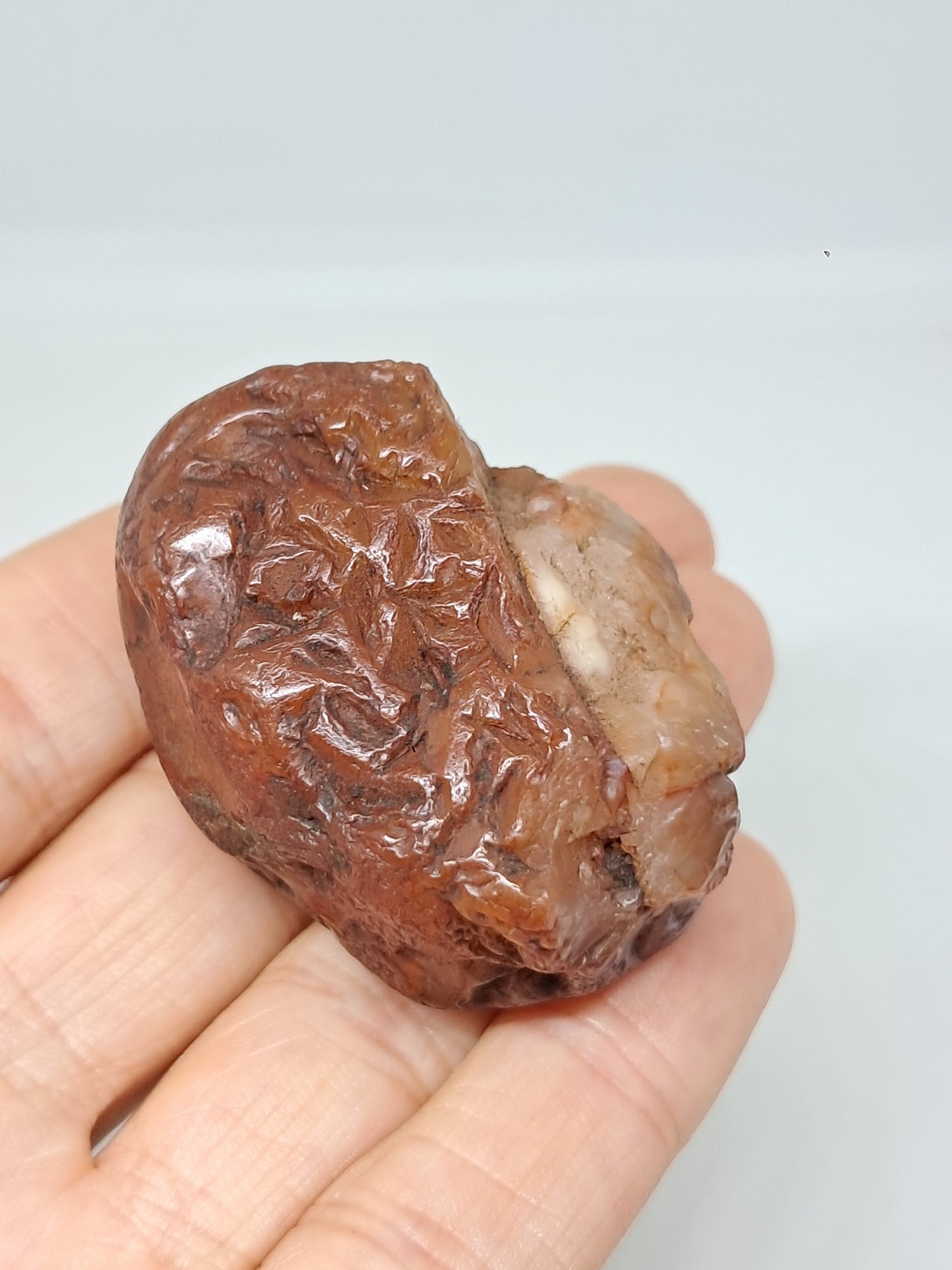 Rough Carnelian (India) Raw Stone | Natural Crystal | Mineral Specimen #CRN30