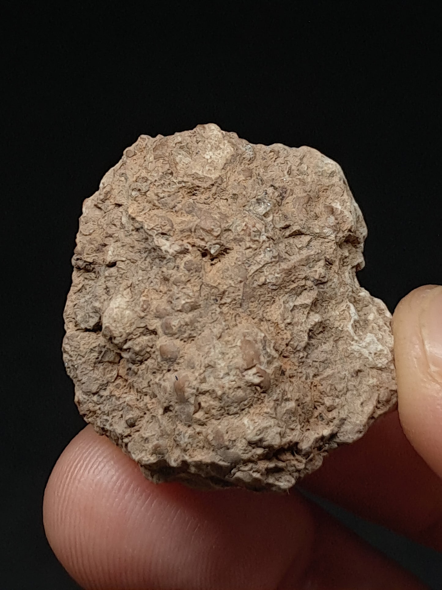 Hyalite Opal on Matrix (Mexico) Rough Crystal Stone | UV-Reactive Mineral Specimen #OH10