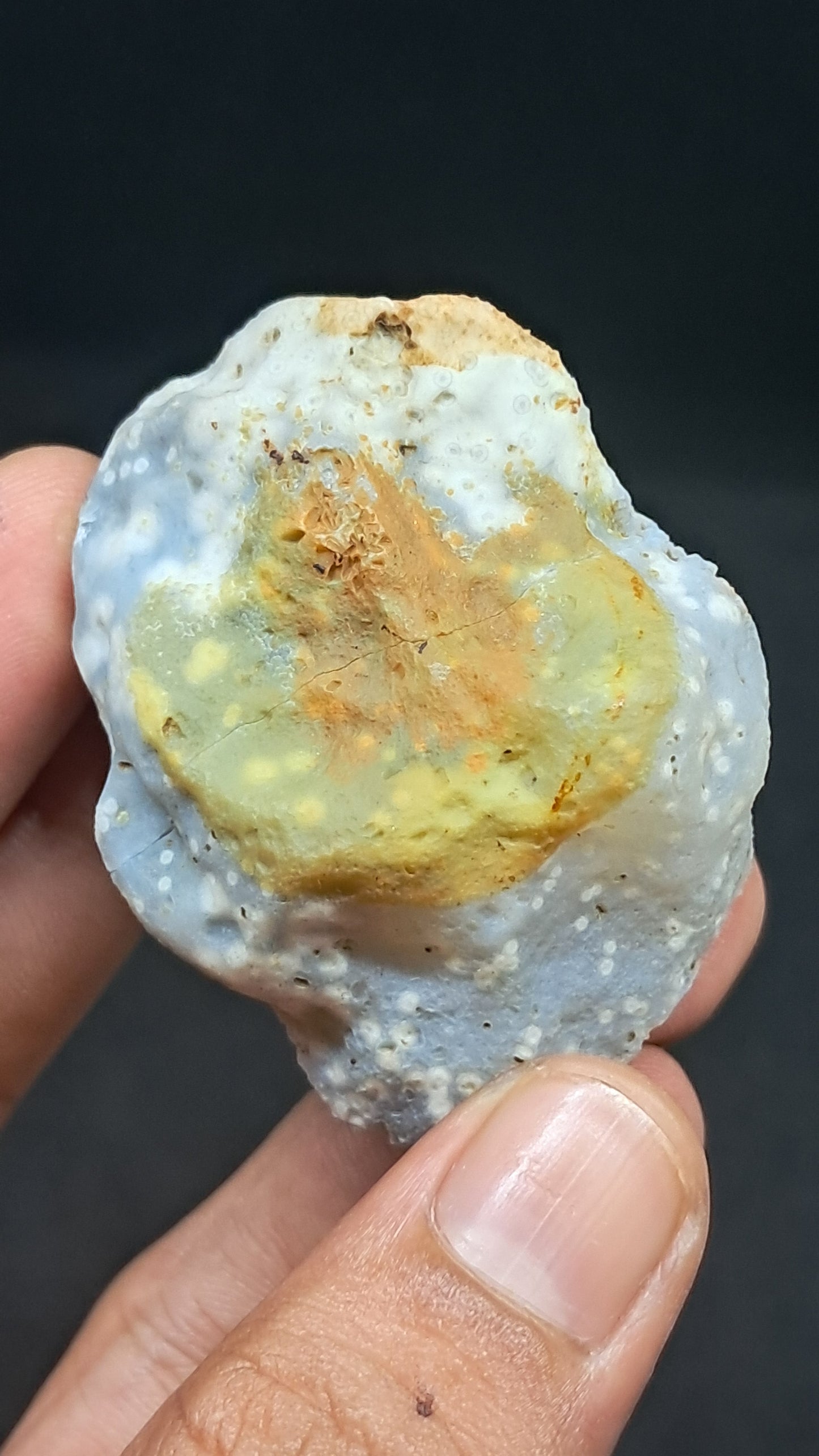 Amethyst Geode (Ajanta) | Deep Cavity | Natural Crystal | Rough Stone #GD37