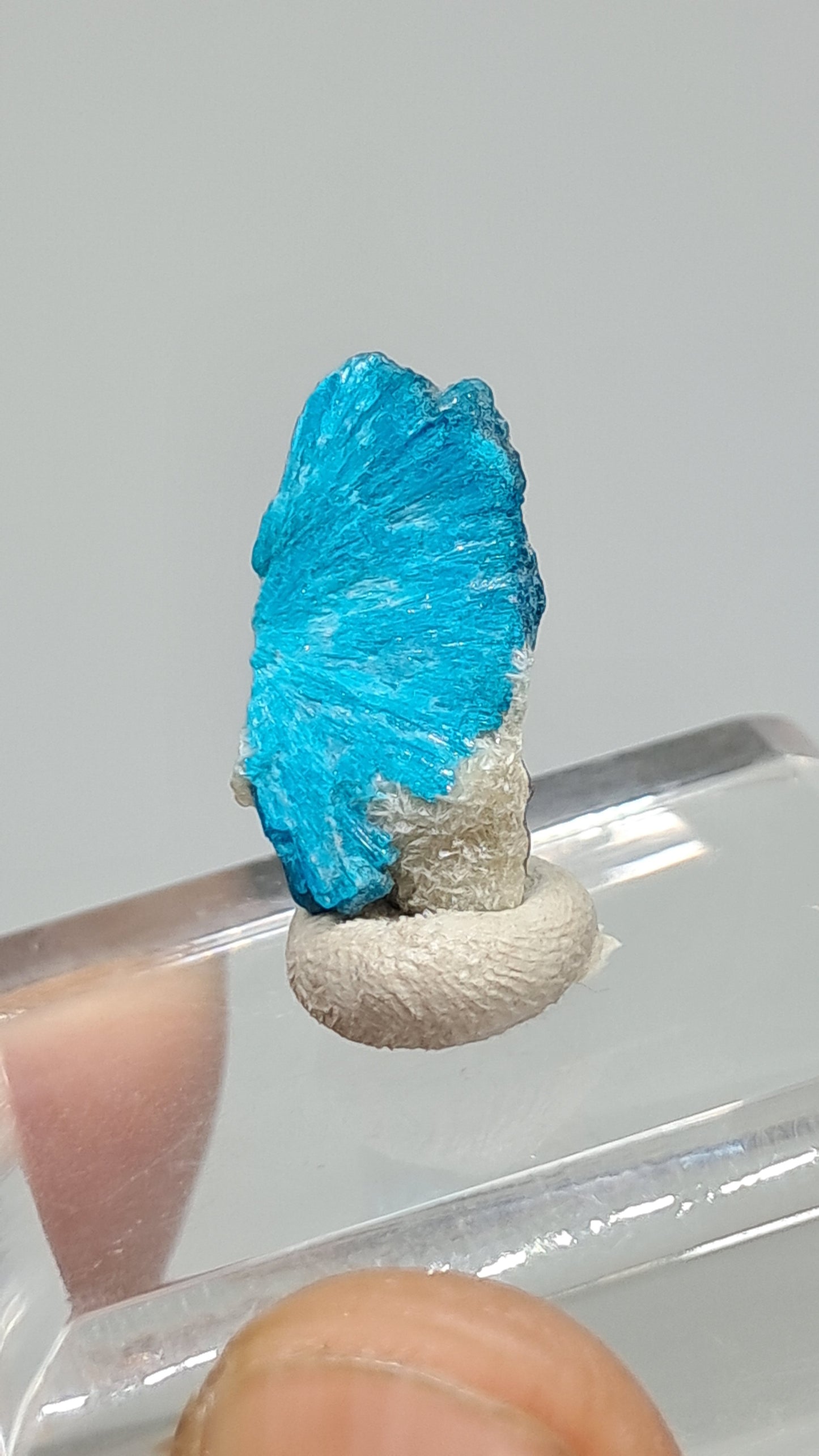 Cavansita en Matriz (Wagholi) Cristal en Bruto | Piedra Natural | Ejemplar Mineral Raro #CV67