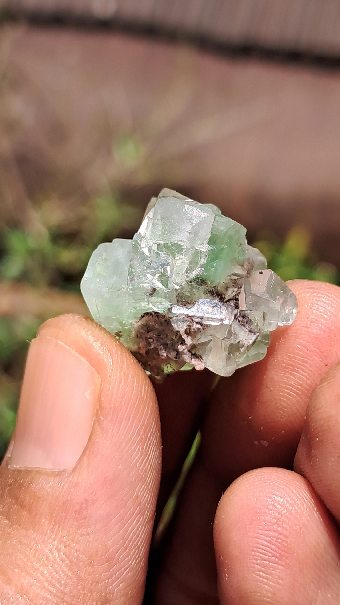 Green Apophyllite Flower (Fluorapophyllite) (Ajanta) Natural Crystal | Mineral Specimen #GA32
