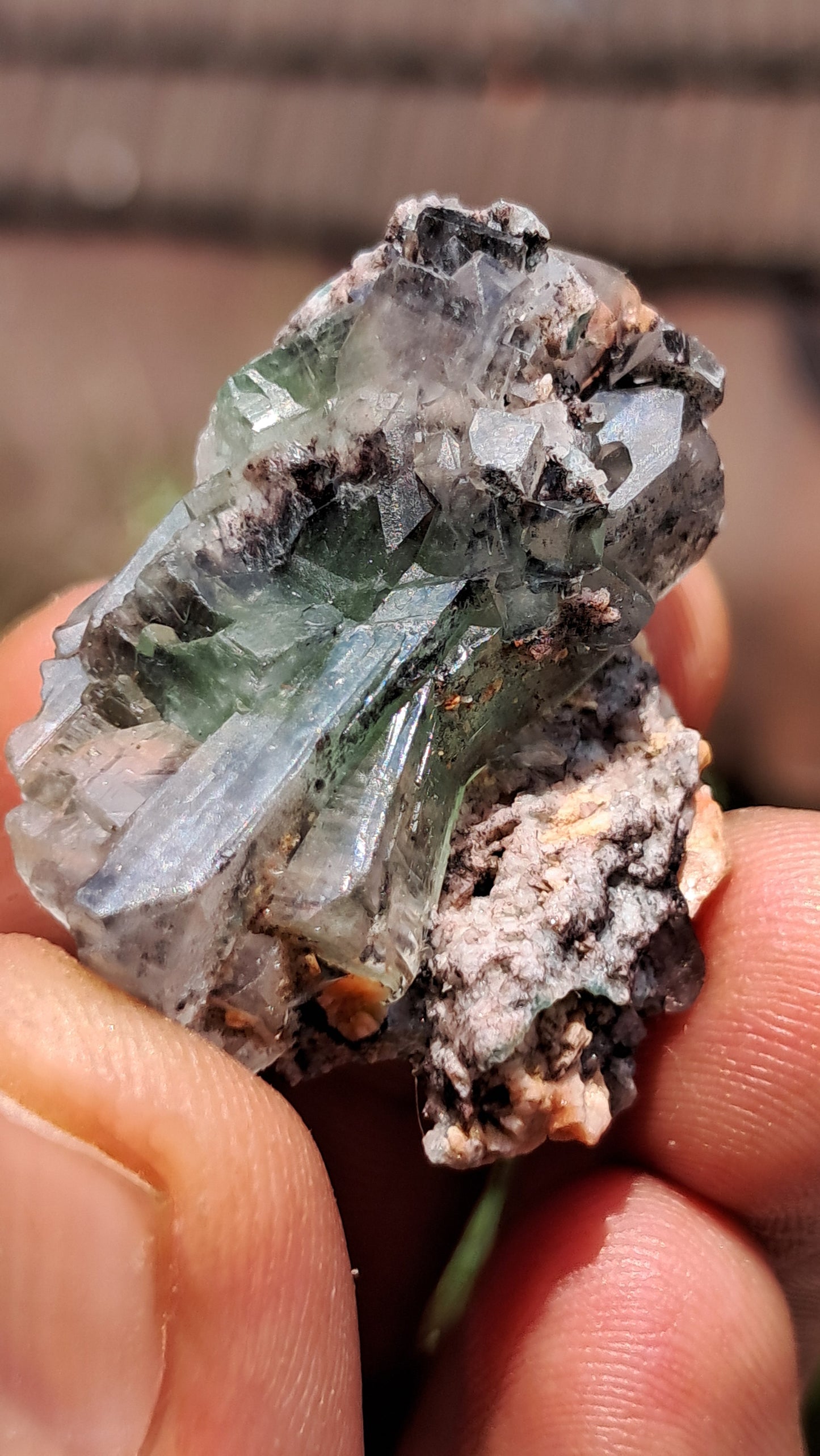 Green Apophyllite (Fluorapophyllite) (Ajanta) Natural Crystal | Mineral Specimen #GA29