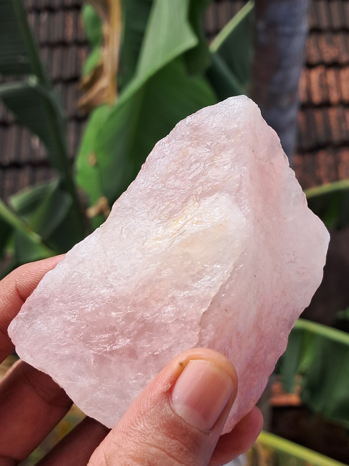 Rose Quartz (Rajasthan) Rough Stone | Natural Gemstone #RQ7