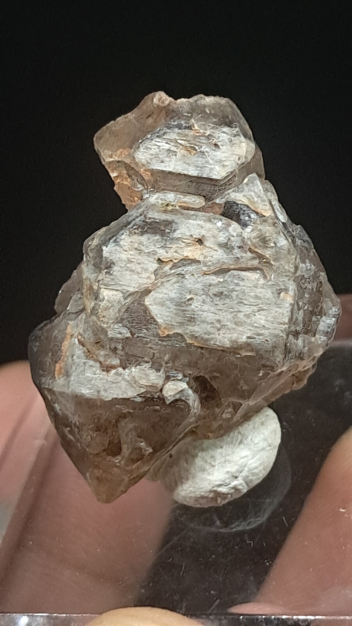 Elestial Smokey Quartz Scepter (Karur) Raw Natural Crystal | Mineral Specimen #EQ23