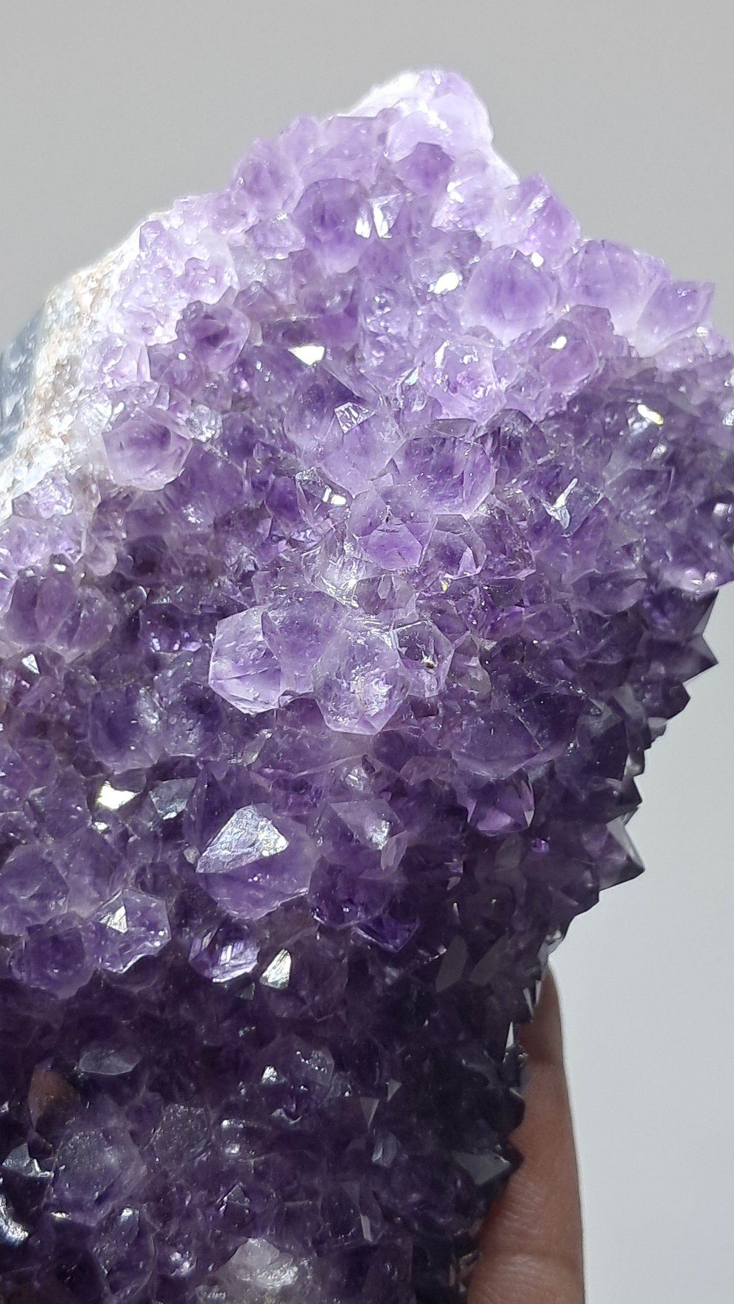 Deep Purple Amethyst (Brazil) | Natural Cluster | Mineral Specimen #AMB13