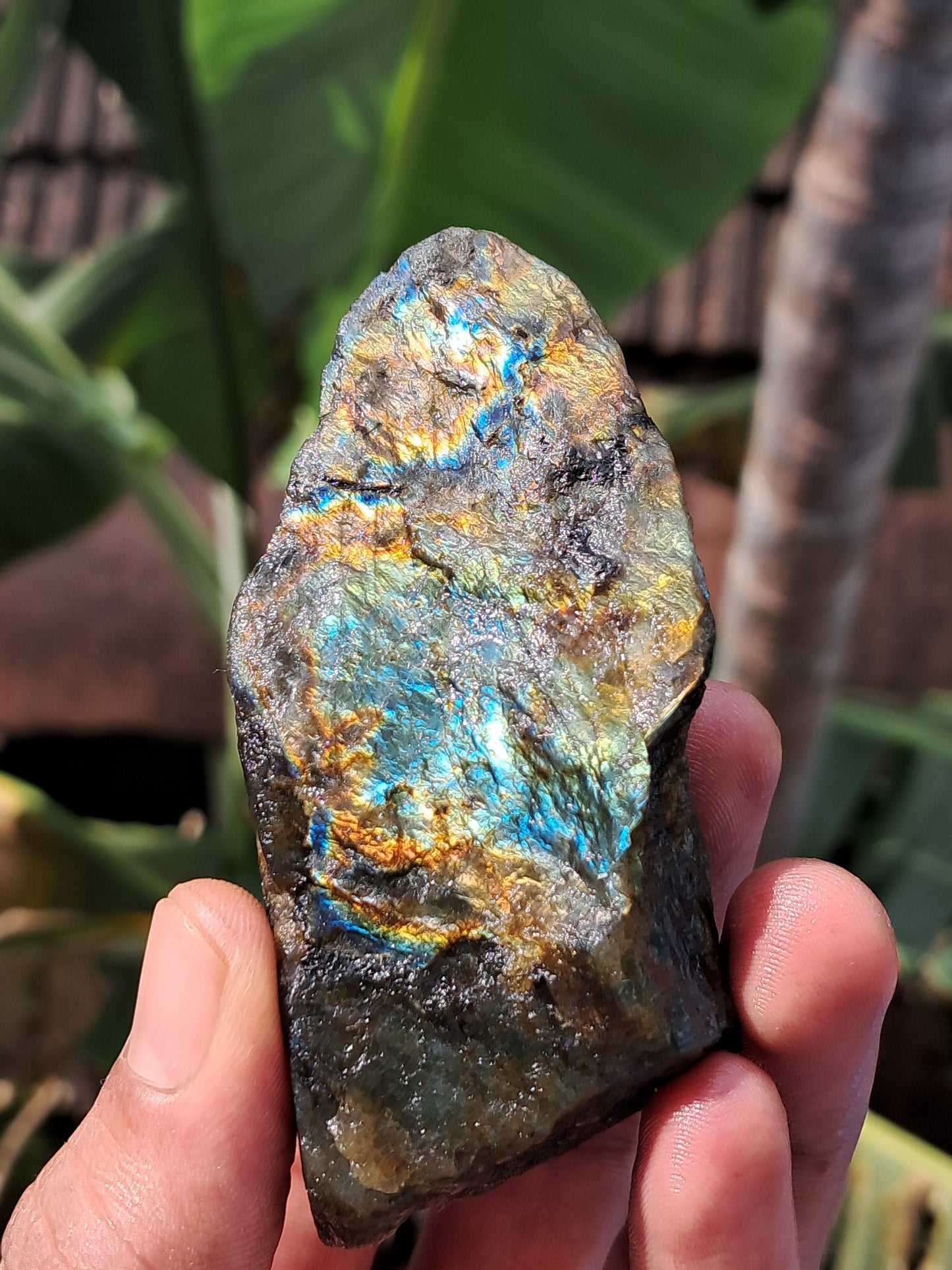 Labradorite Raw (Madagascar) | Strong Flash #LB6