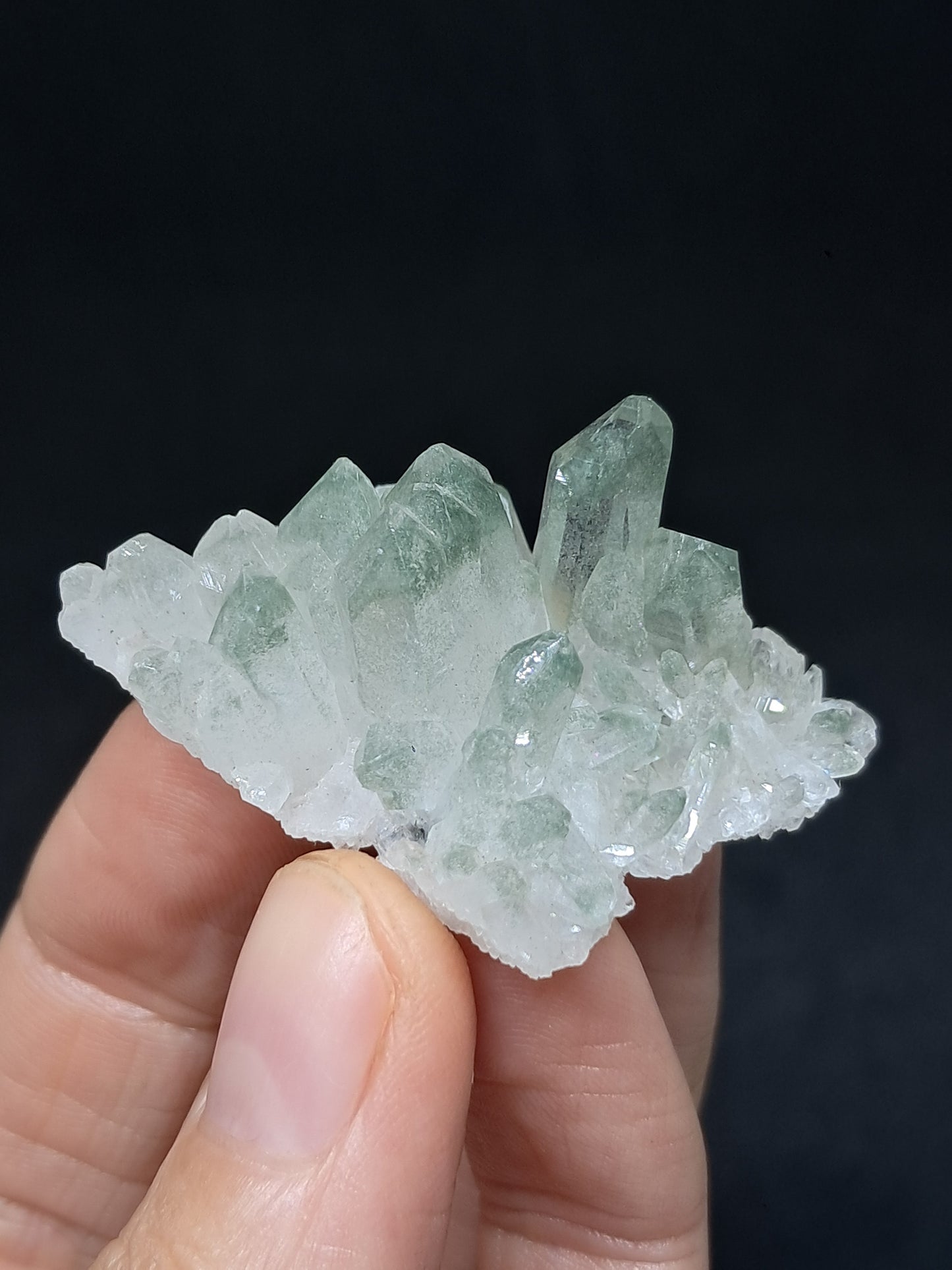 Chlorite Phantom Cluster (Kullu) Natural Crystal | Garden Chamanic Quartz #CQ76