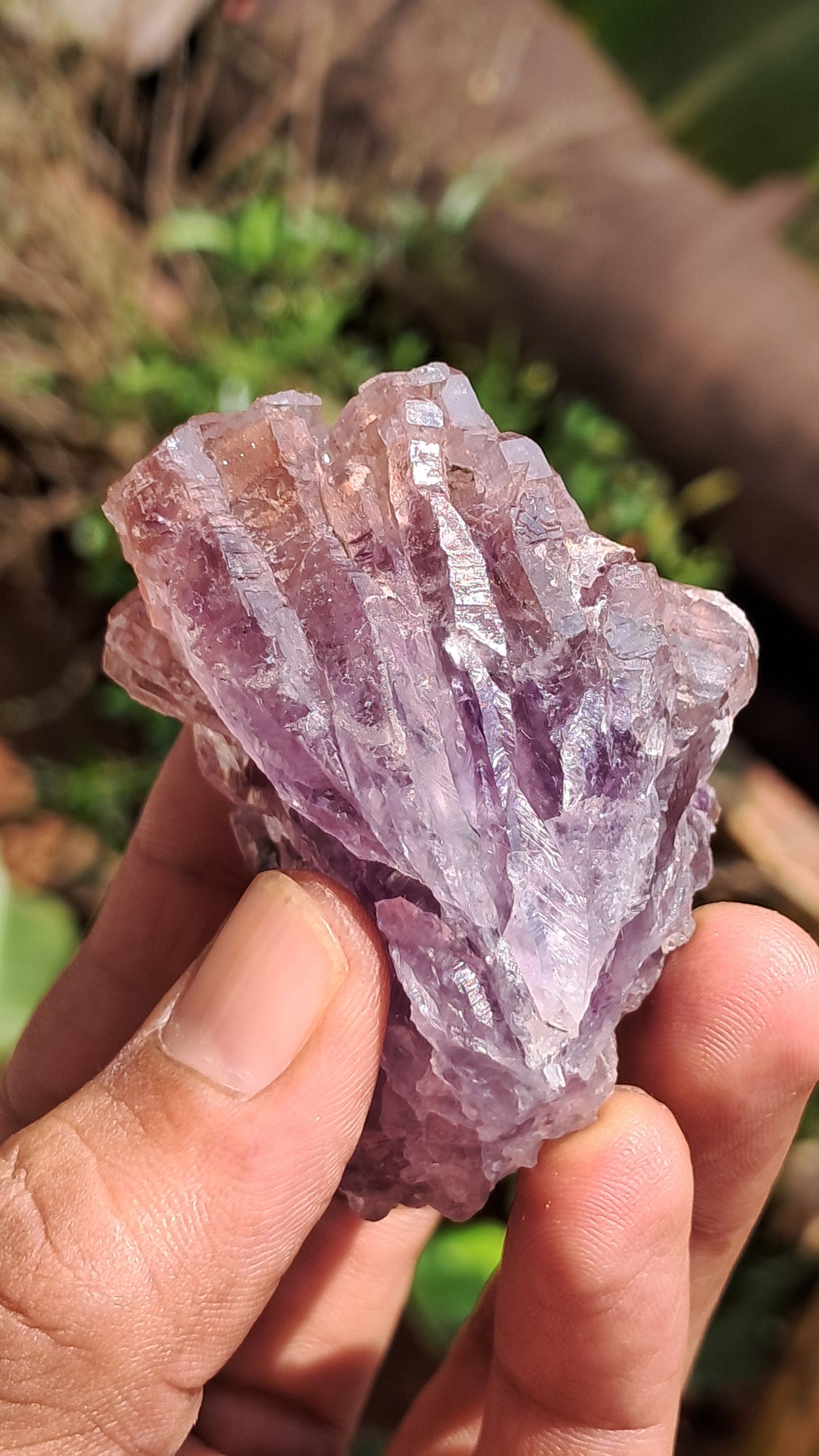 Karur Amethyst Scepter Cluster | Honeycomb Terminations | "Super Seven" inclusions | Mineral Specimen #KA186