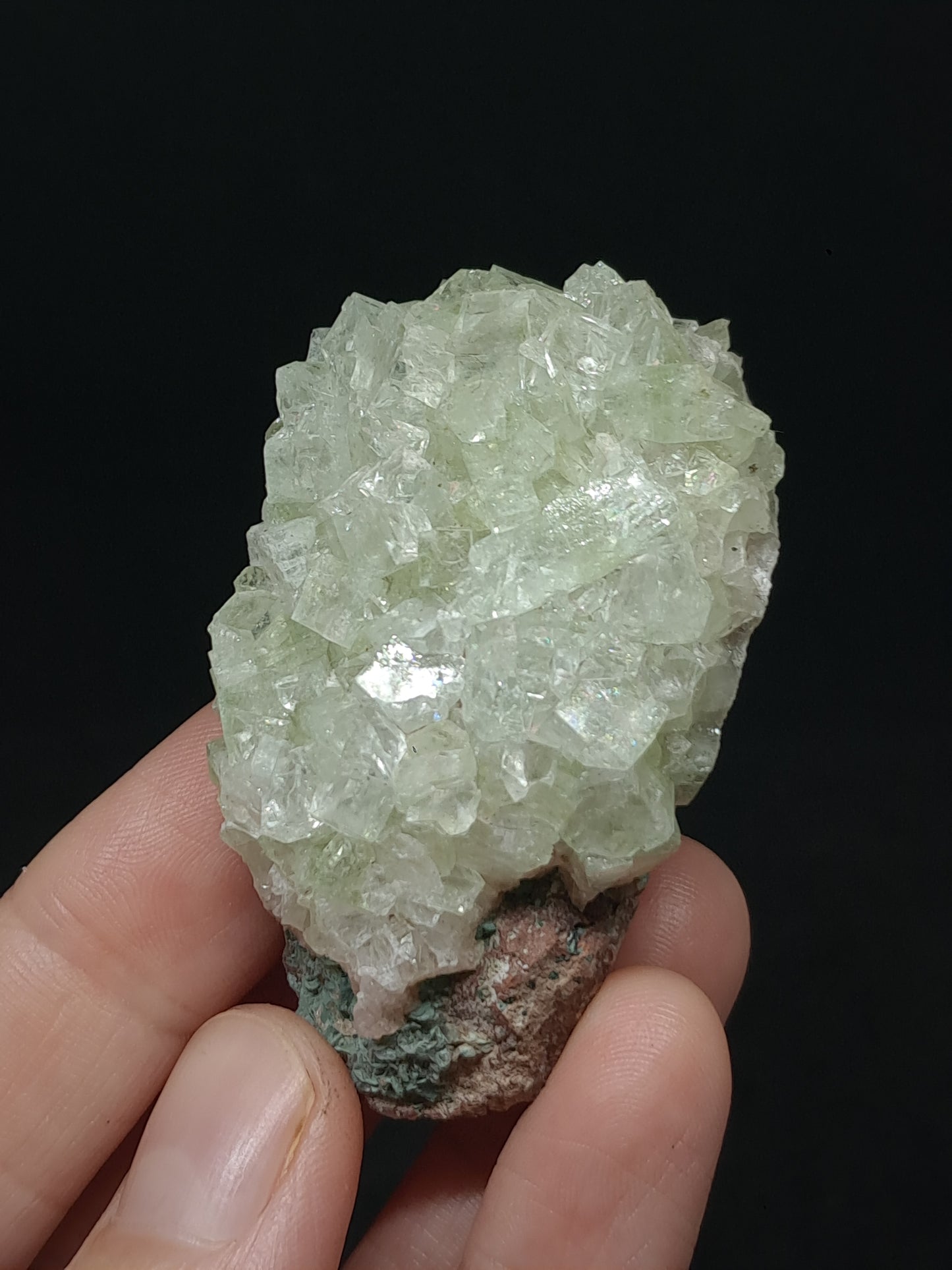 Green Apophyllite Cluster (Fluorapophyllite) (Ajanta) Rough Natural Crystal | Mineral Specimens #GA59