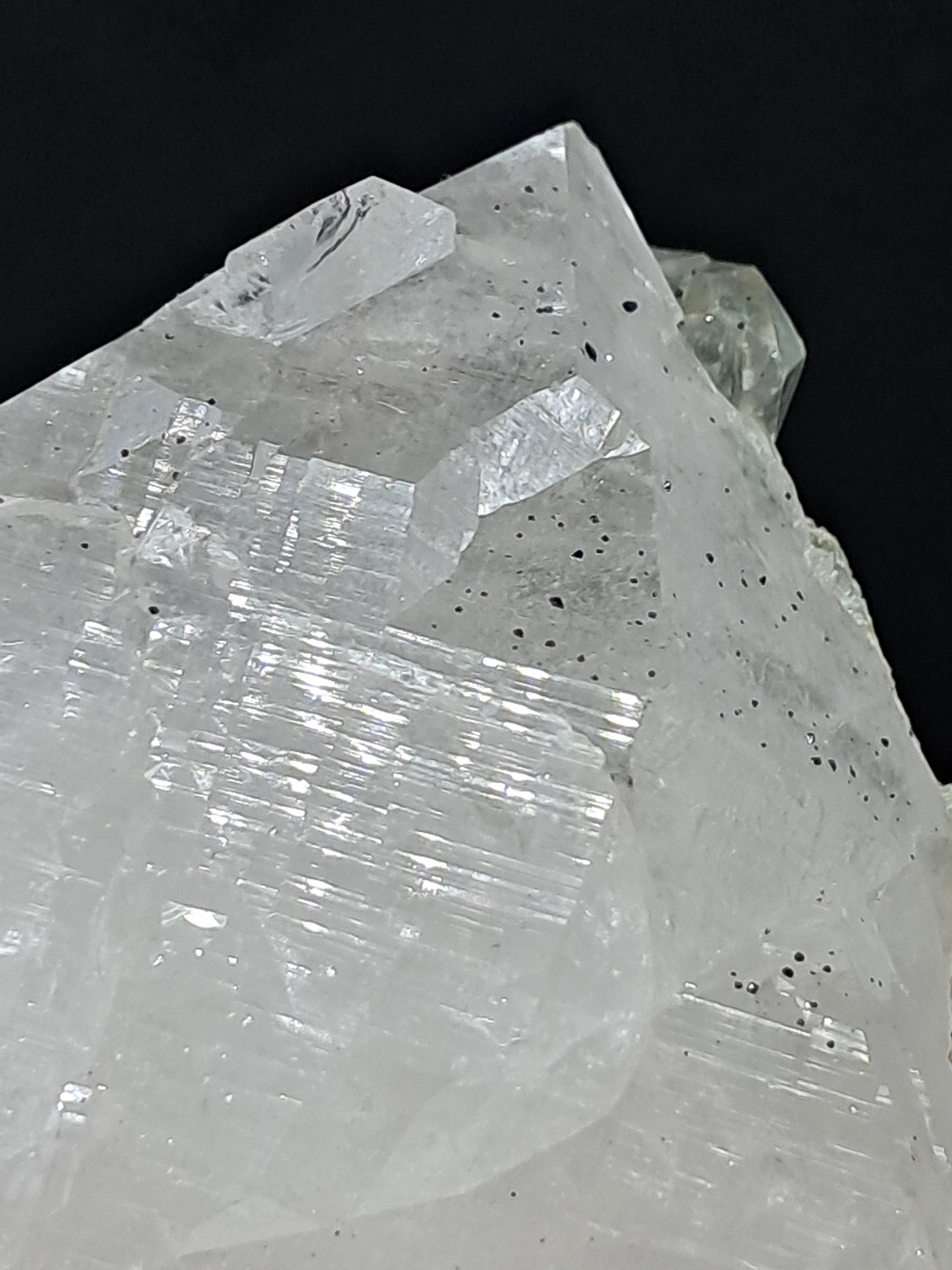 Himalayan Quartz Crystal Point with Magnetite Inclusions XL | High Grade | Natural Stone | Mineral Specimen #CH54