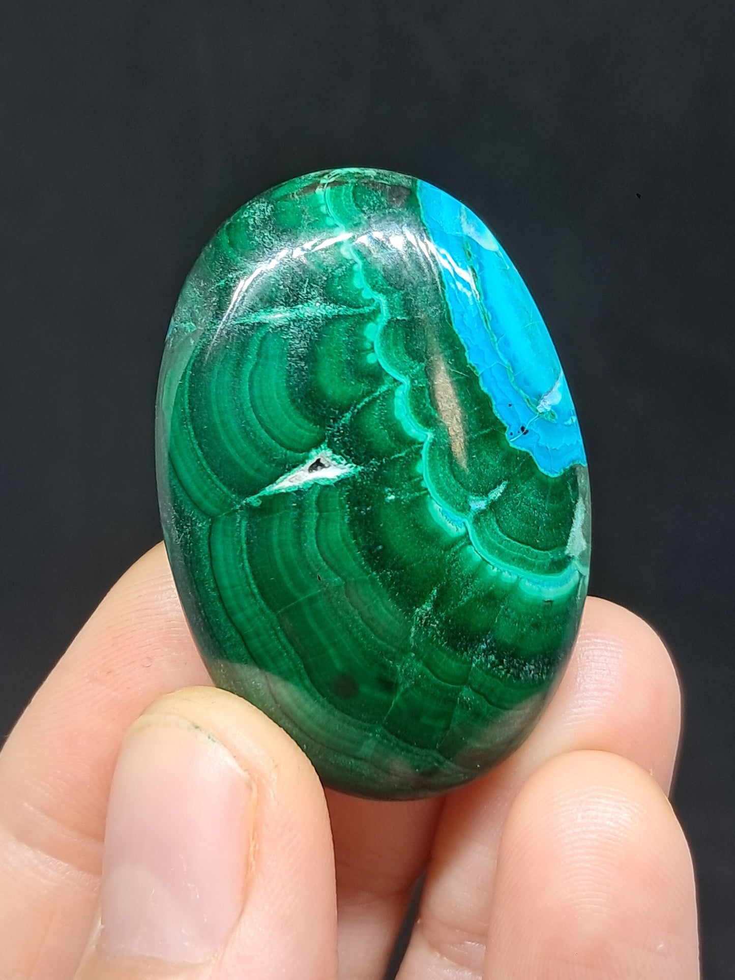 Chrysocolla Malachite Palmstone | Polished Natural Stone | Good Quality #CM25