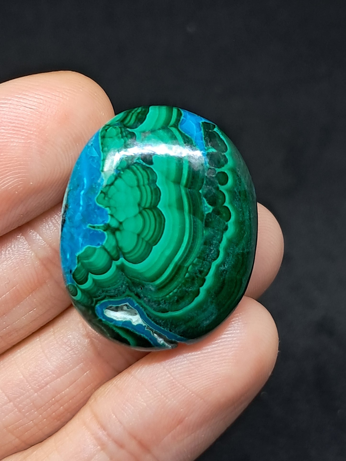 Chrysocolla Malachite Palmstone | Polished Natural Stone | Good Quality