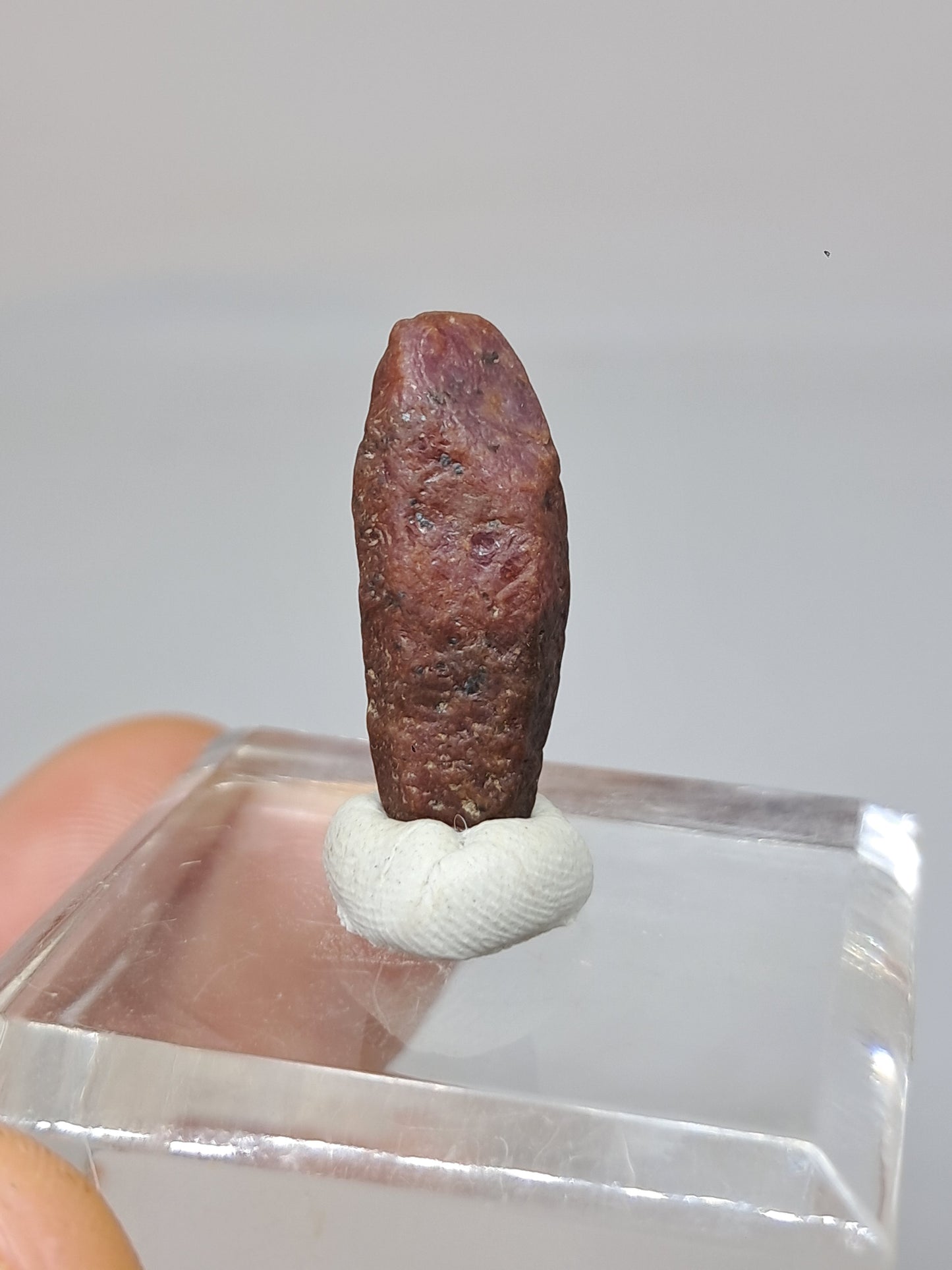 Cristal de rubí en bruto (Tamil Nadu) Piedra natural | Muestra mineral #RB31