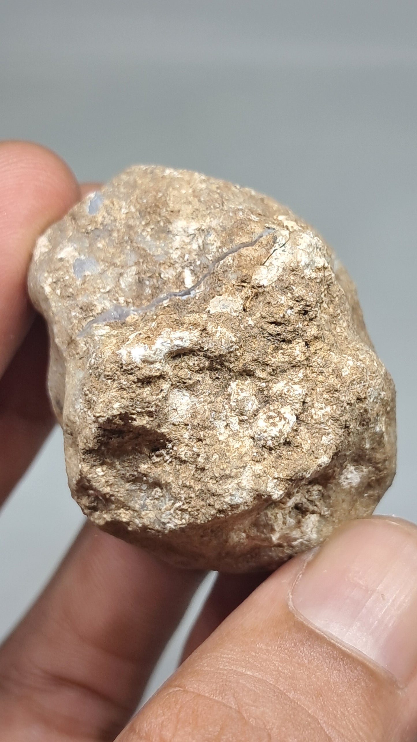 Geoda de amatista (Ajanta) | Cavidad profunda | Cristal natural | Piedra en bruto #GD29