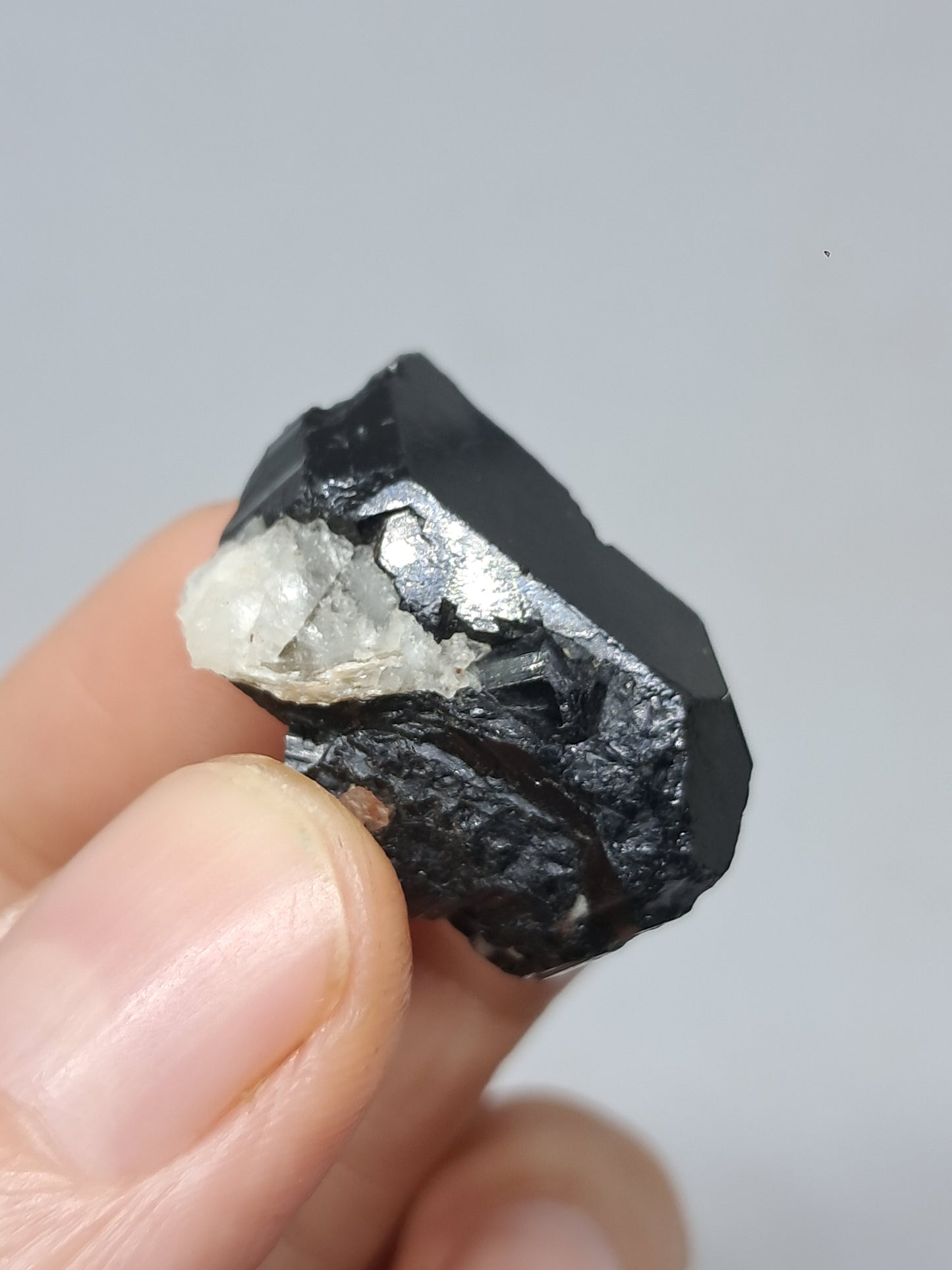 Black Tourmaline Crystal (Karnataka) Naturally Terminated | Natural Stone | Mineral Specimen #BT7