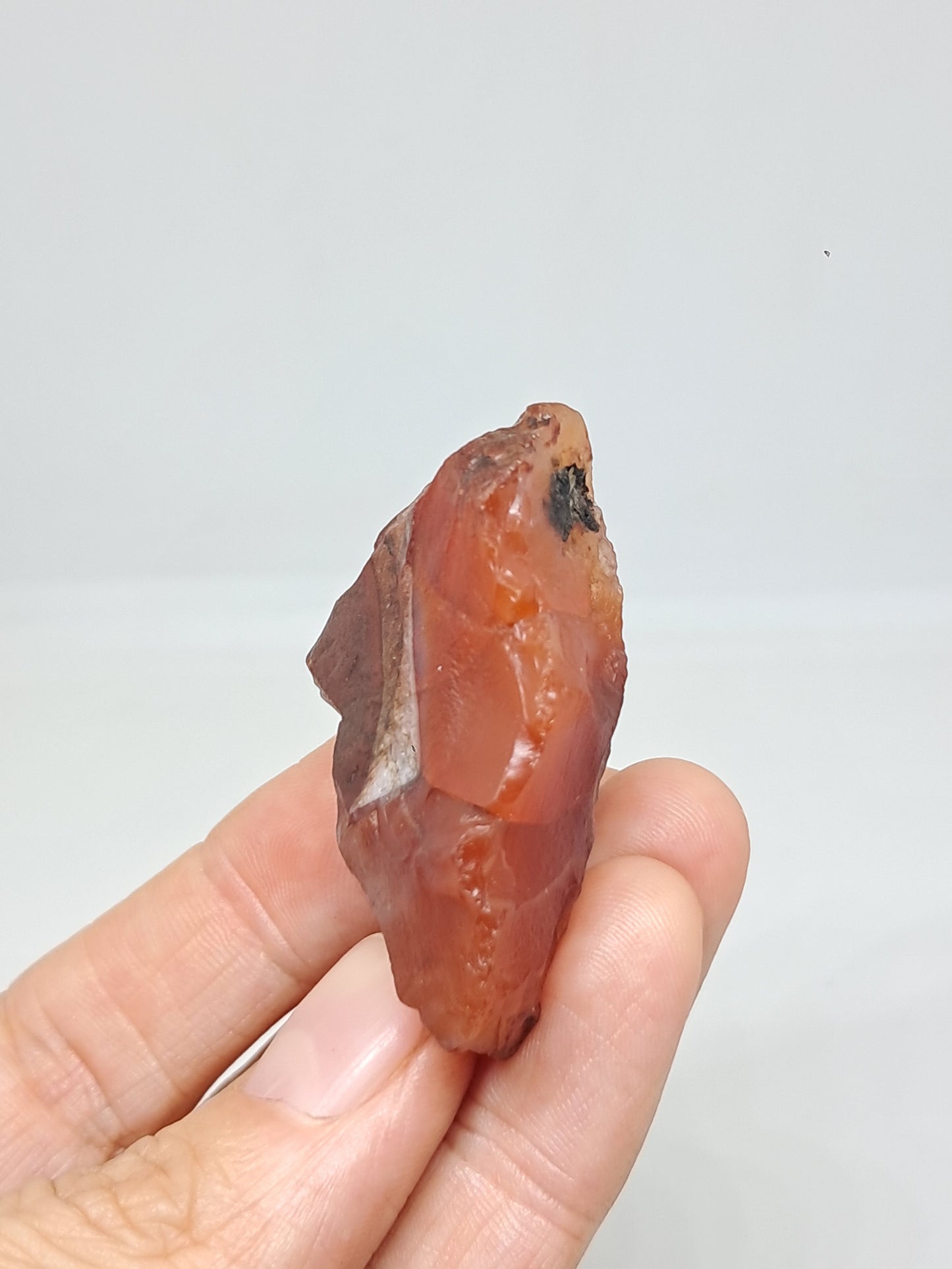 Rough Carnelian (India) Raw Stone | Natural Crystal | Mineral Specimen #CRN22