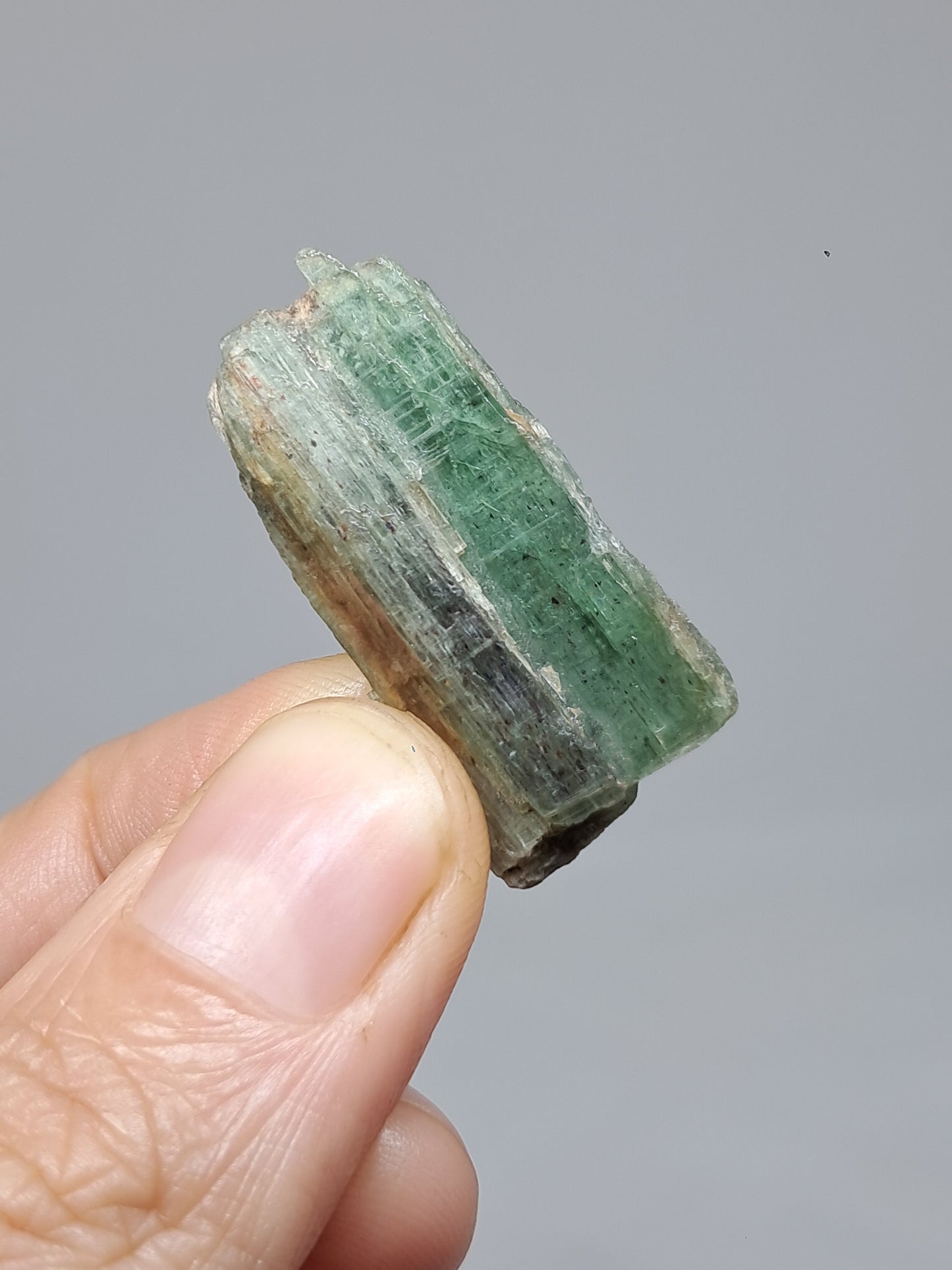 Green Kyanite (Tamil Nadu) Natural Crystal #KY8