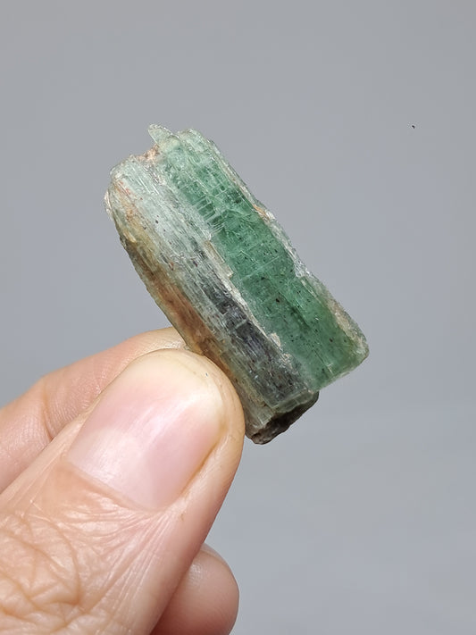 Green Kyanite (Tamil Nadu) Natural Crystal #KY8