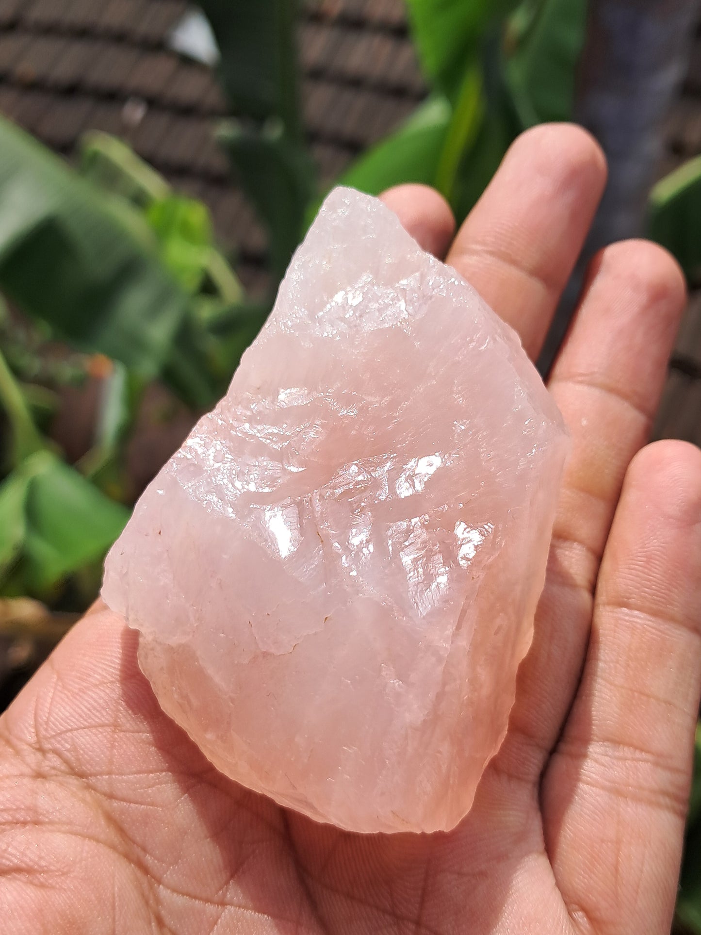 Rose Quartz (Rajasthan) Rough Stone | Natural Gemstone #RQ10