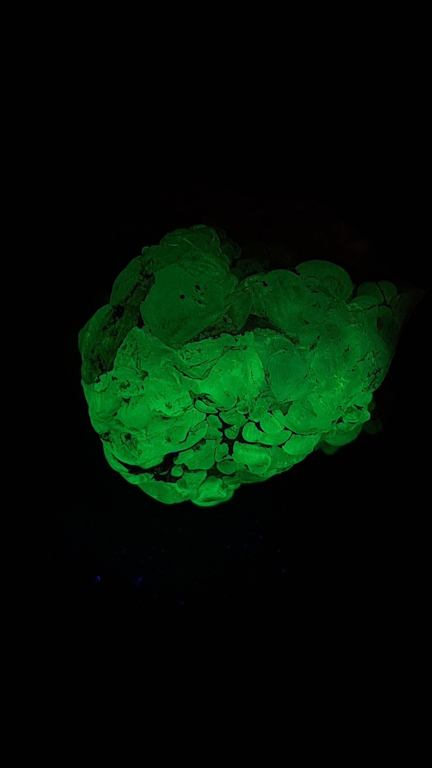 Hyalite Opal on Matrix (Mexico) Rough Crystal Stone | UV-Reactive Mineral Specimen #OH7