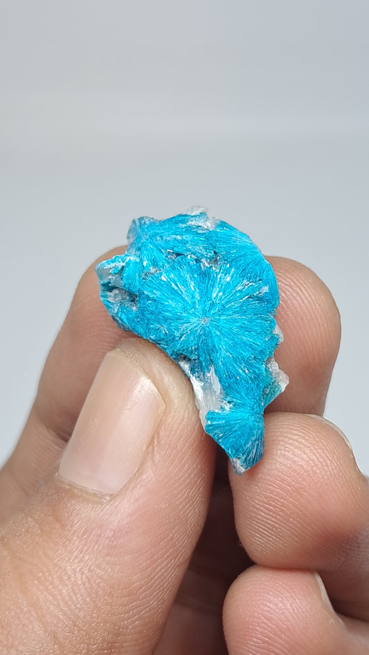 Flores de cavansita sobre matriz de estilbita (Wagholi) Cristal en bruto | Piedra natural | Ejemplar de mineral raro #CV63