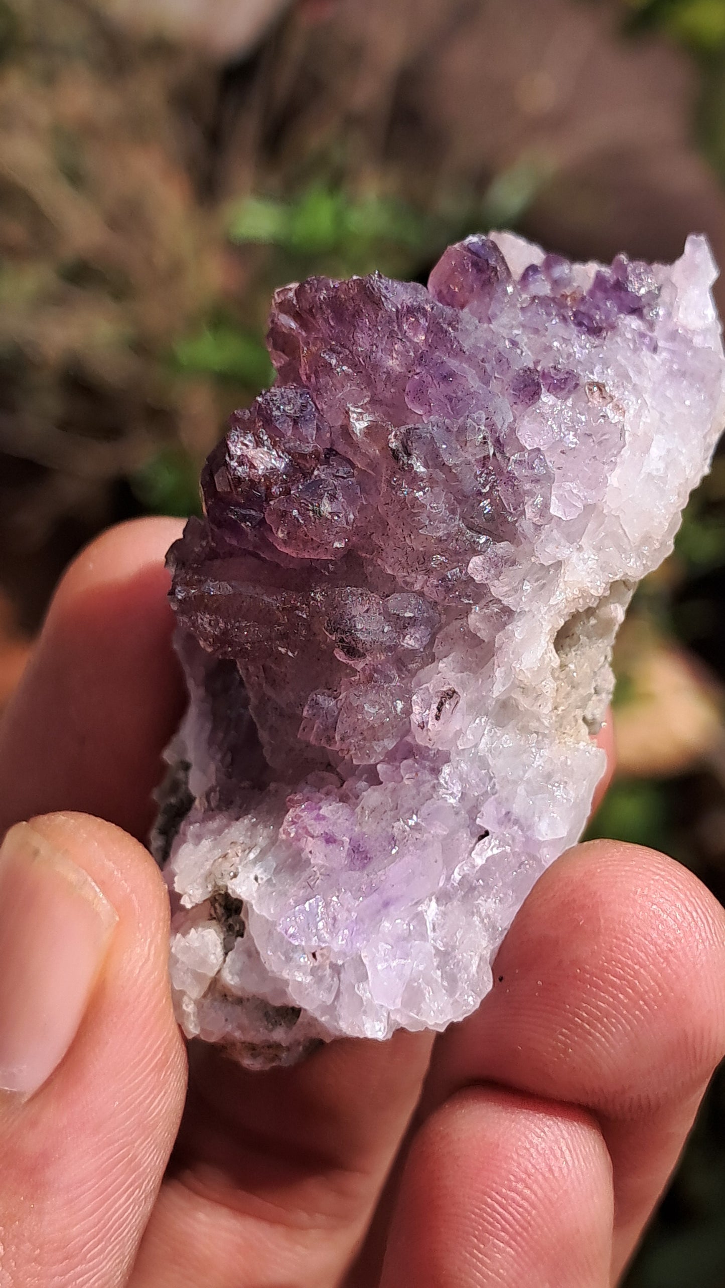 Karur Amethyst Scepter Cluster | "Super Seven" inclusions | Mineral Specimen #KA187