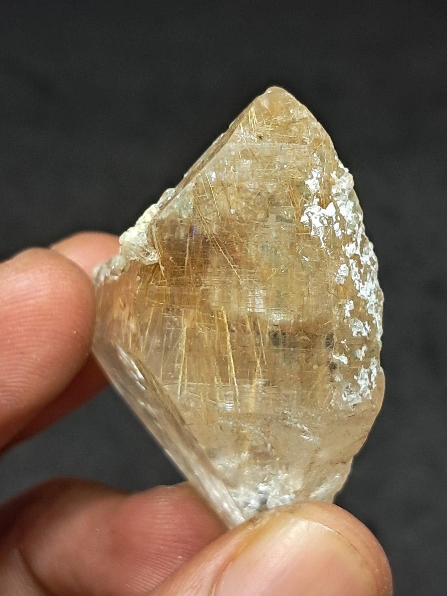 Himalayan Quartz w/ Golden Rutile and Chlorite (Himachal Pradesh) Self-healed |  Natural Crystal #CH60