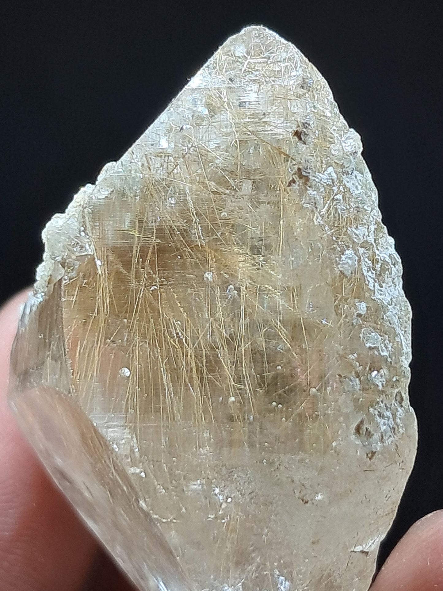Himalayan Quartz w/ Golden Rutile and Chlorite (Himachal Pradesh) Self-healed |  Natural Crystal #CH60