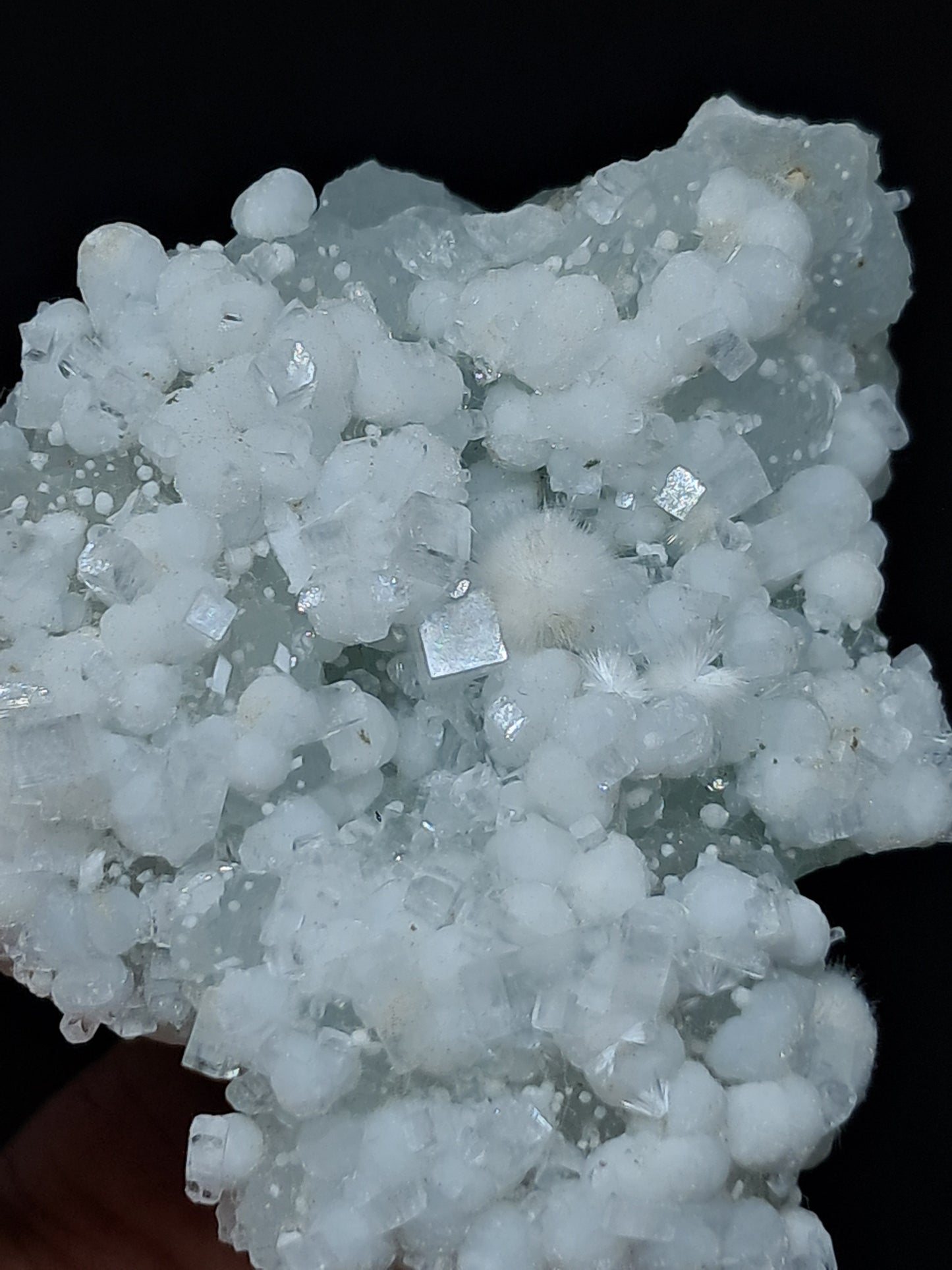 Okenite w/ Gyrolite and Apophyllite on Prehenite Matrix (Mumbai) Mineral Specimen | Collector Grade | Natural Crystal #OK23