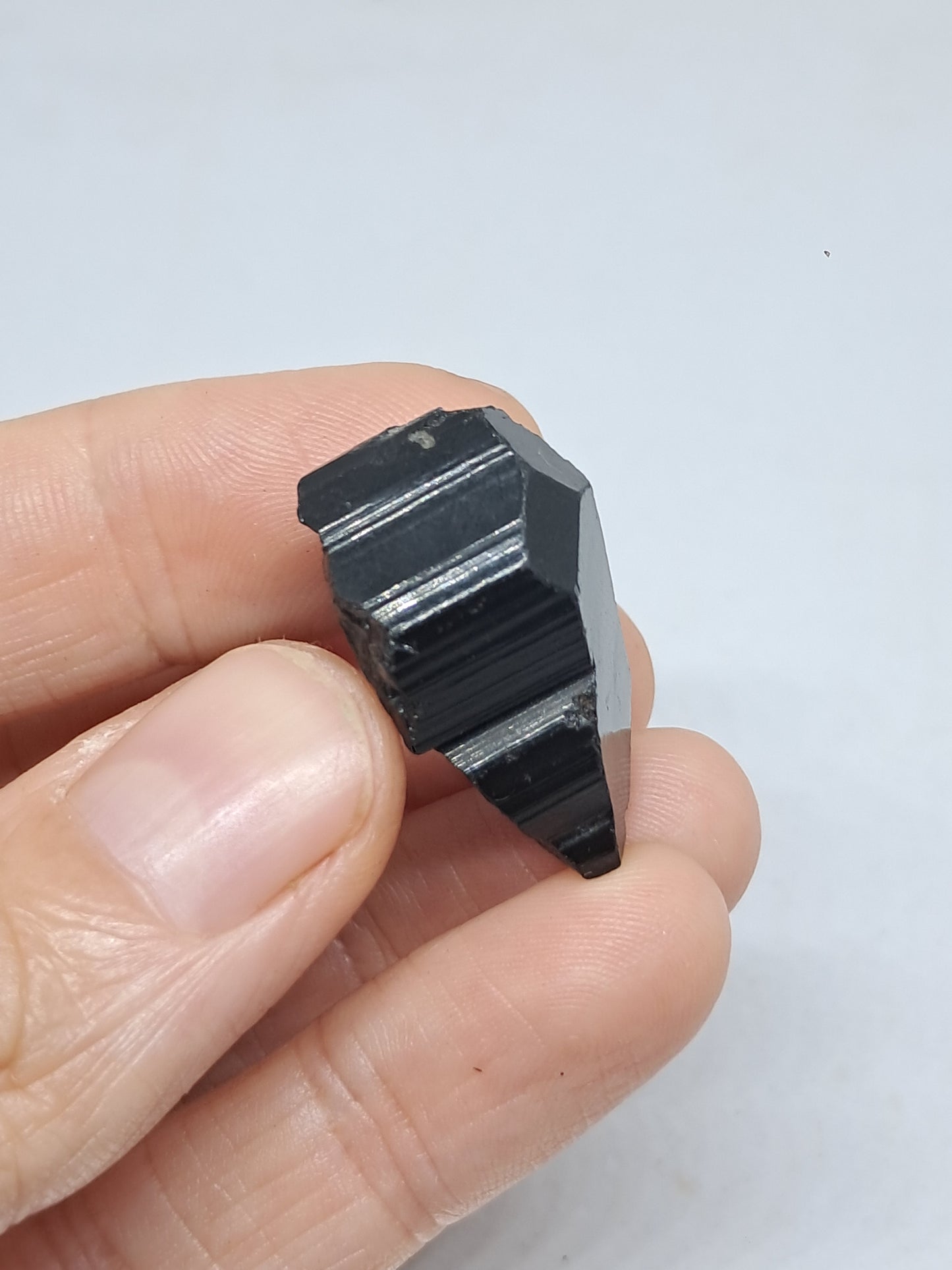 Black Tourmaline Crystal (Karnataka) Naturally Terminated | Natural Stone | Mineral Specimen #BT7